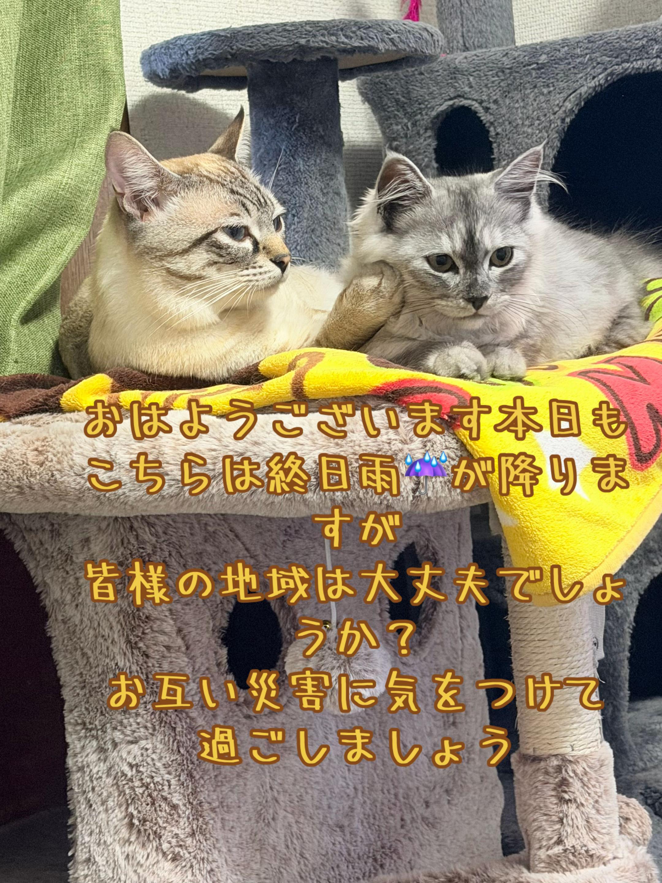 @ð¥é»æŸ€æ£å¿ð¥
