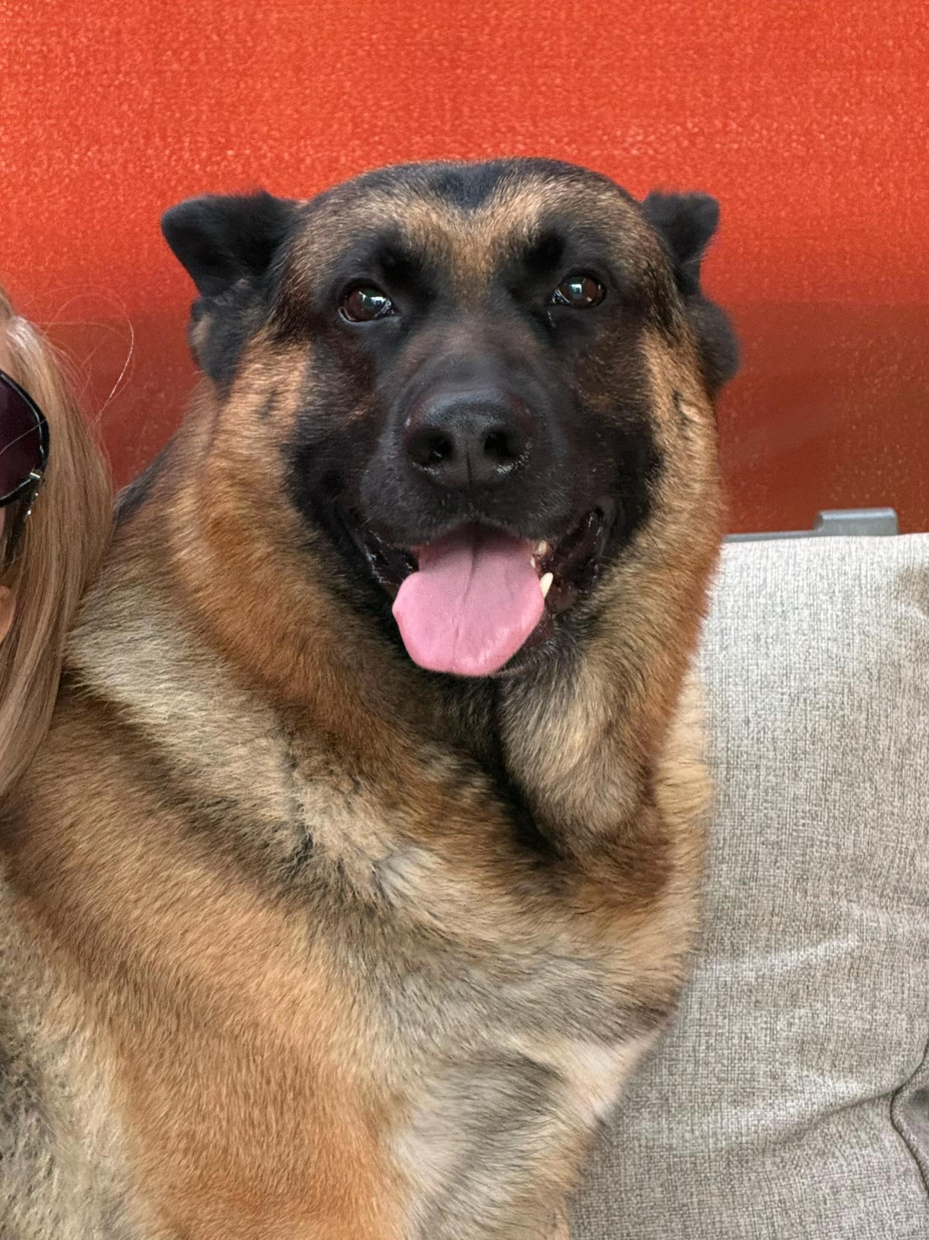 @Martygsd