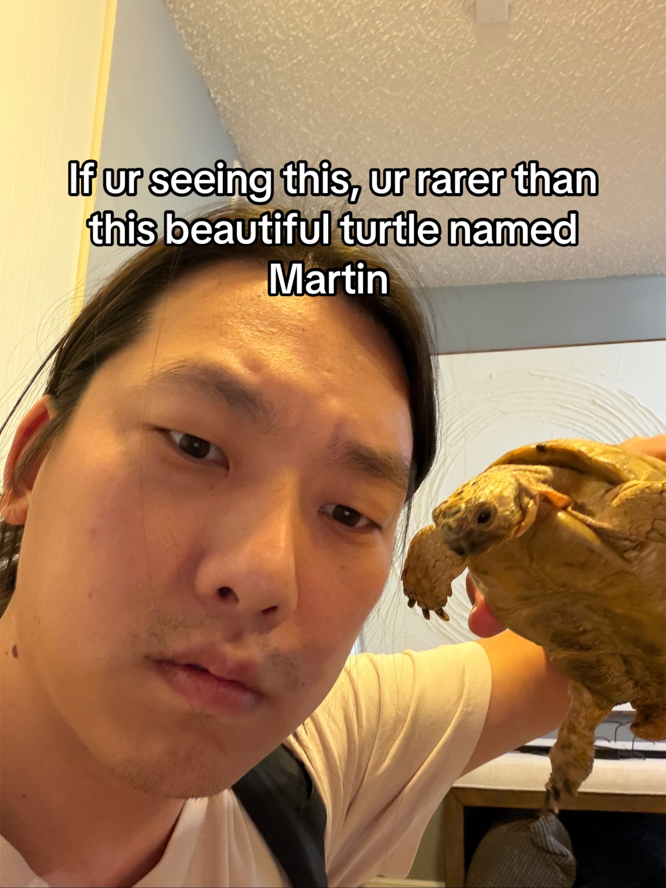 @Michael Kim-Sheng