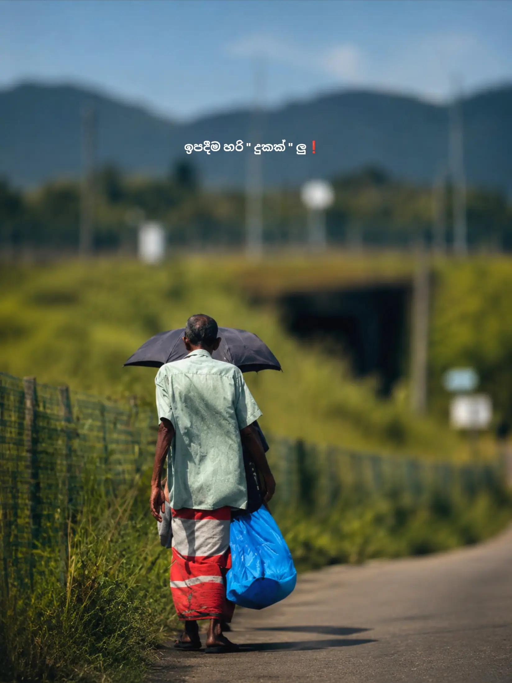 @𝙎𝗮𝗰𝗵𝗶 ┃ සචි 〲☸️🇯🇵