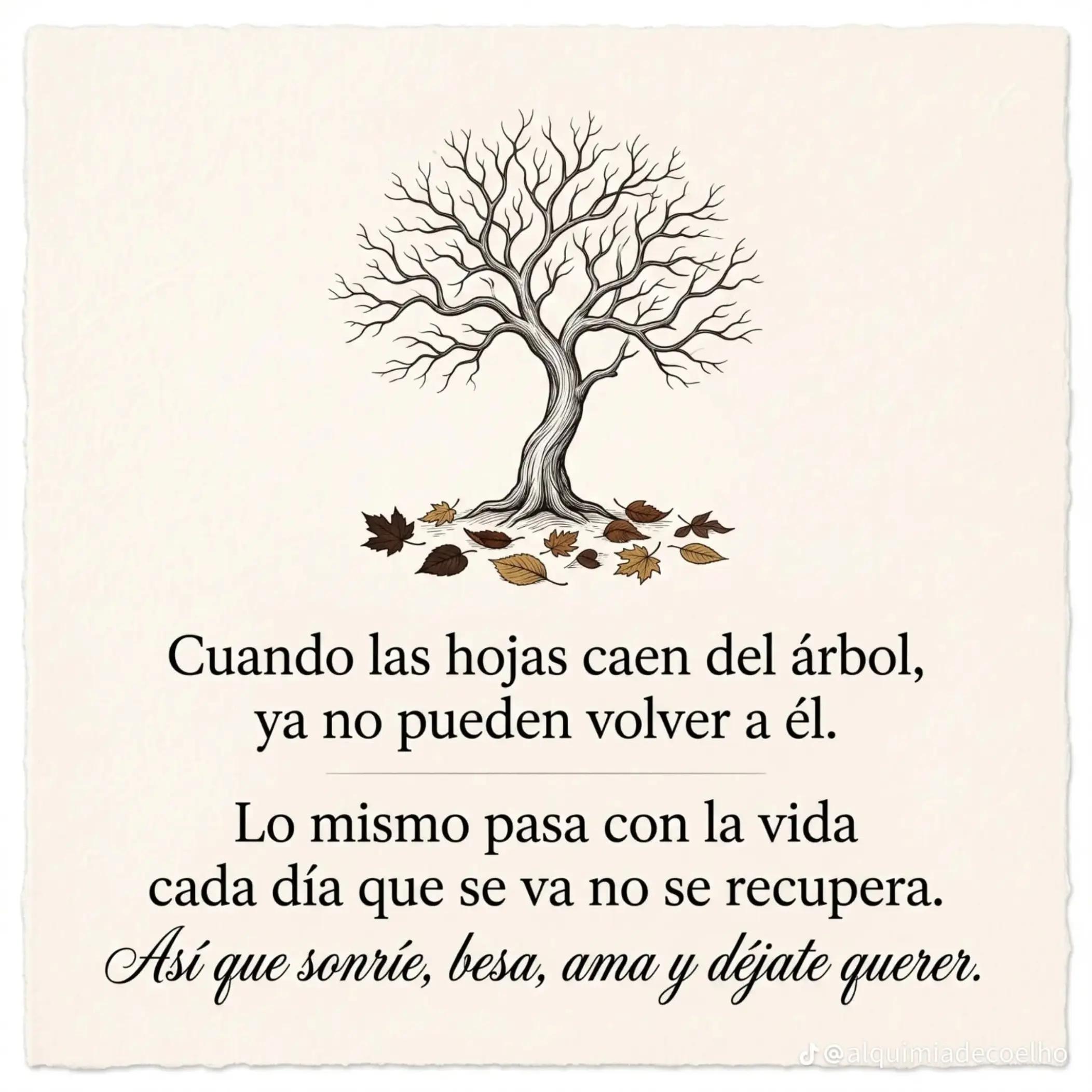 @clararabadan292