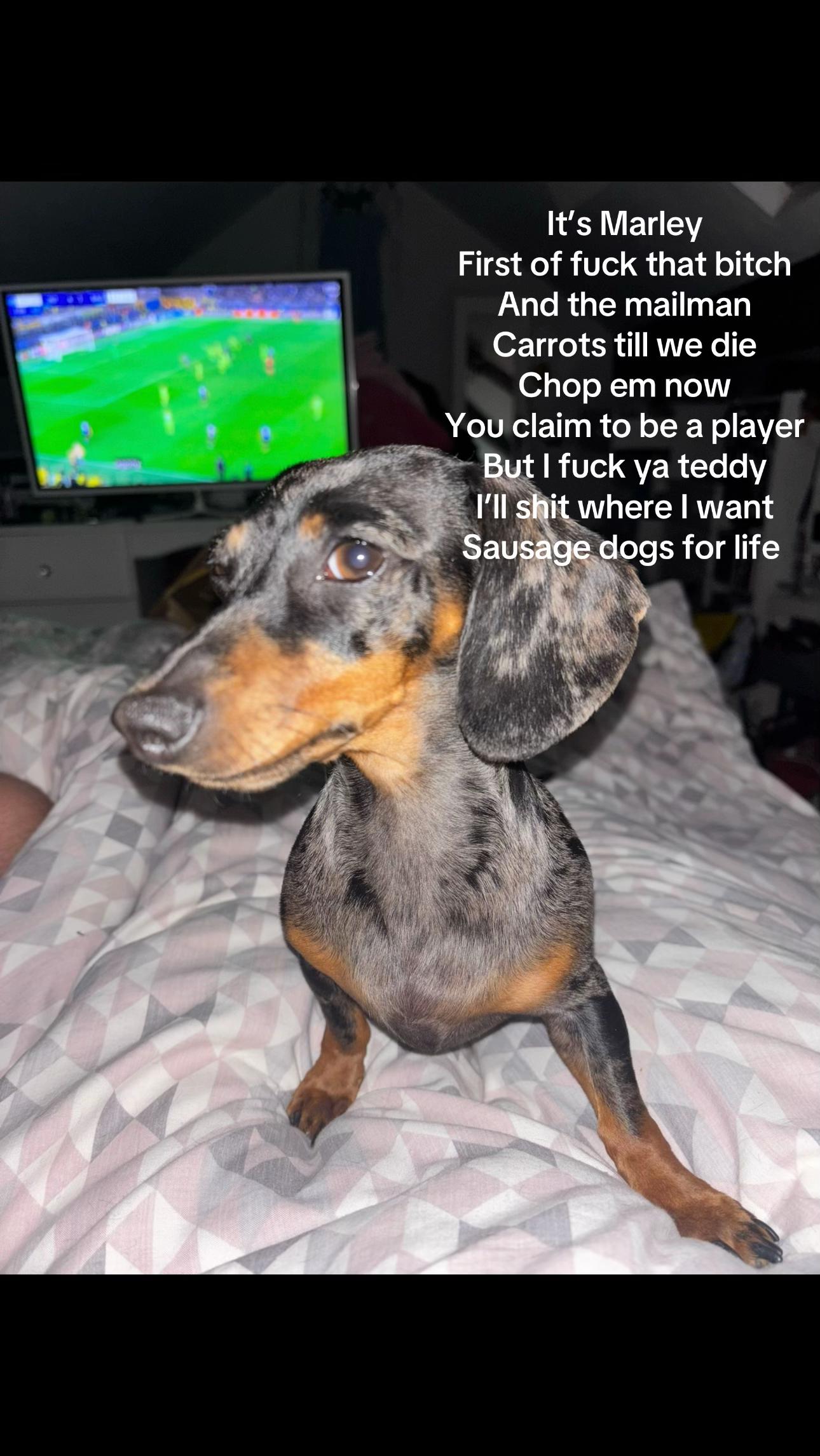 @meg
