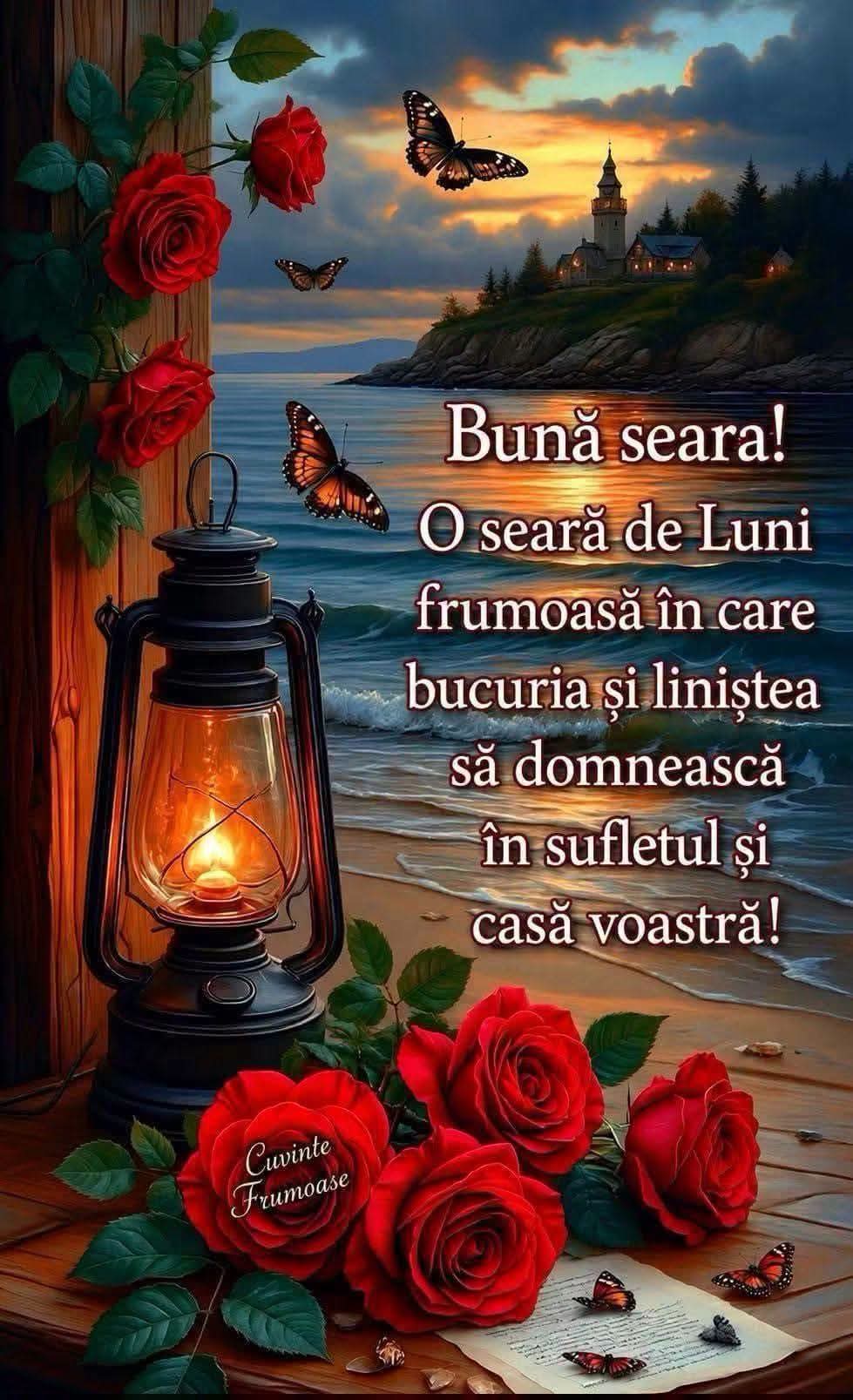 @Mocanu Alina