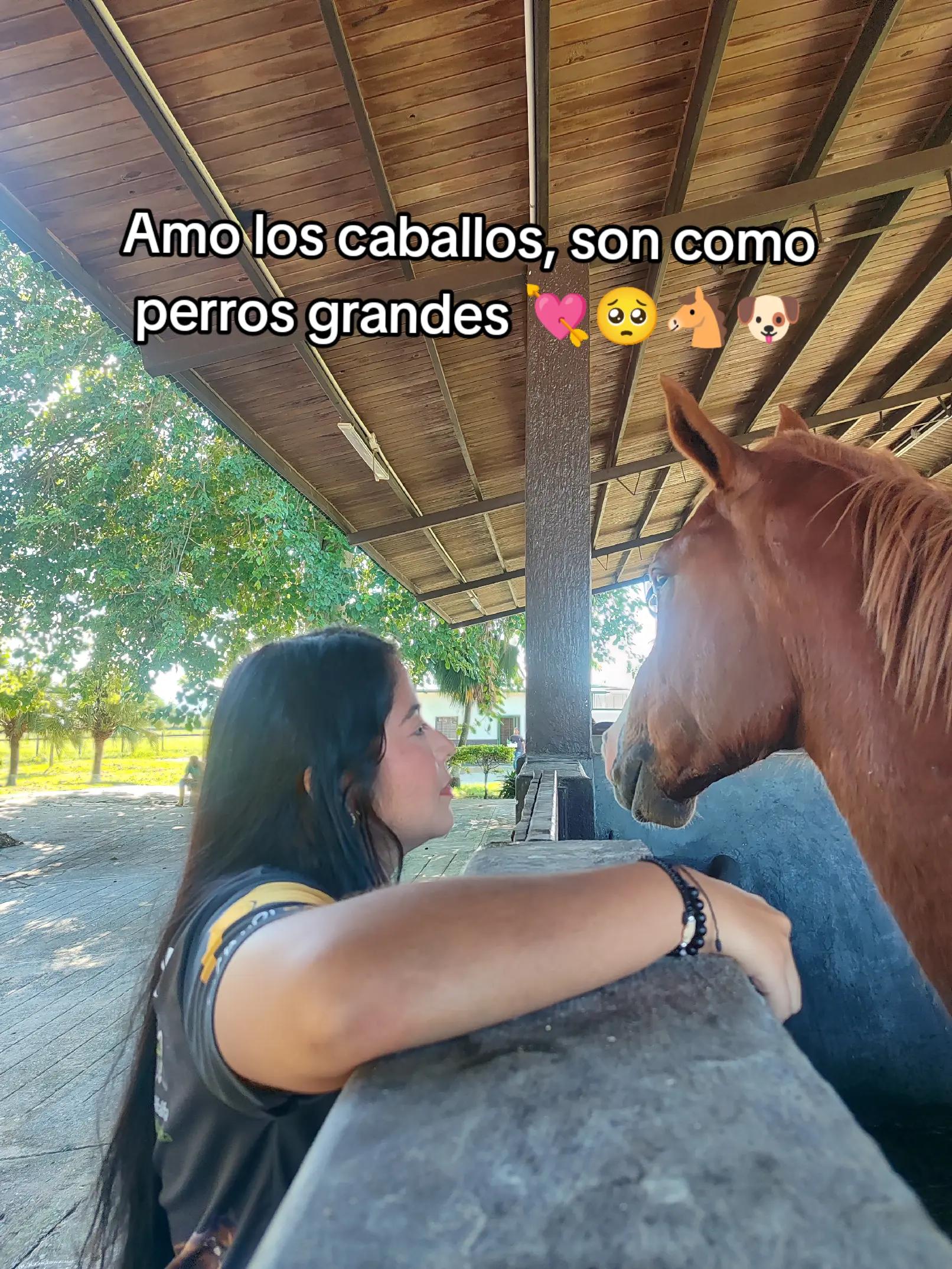@Mariangel Ocanto :)