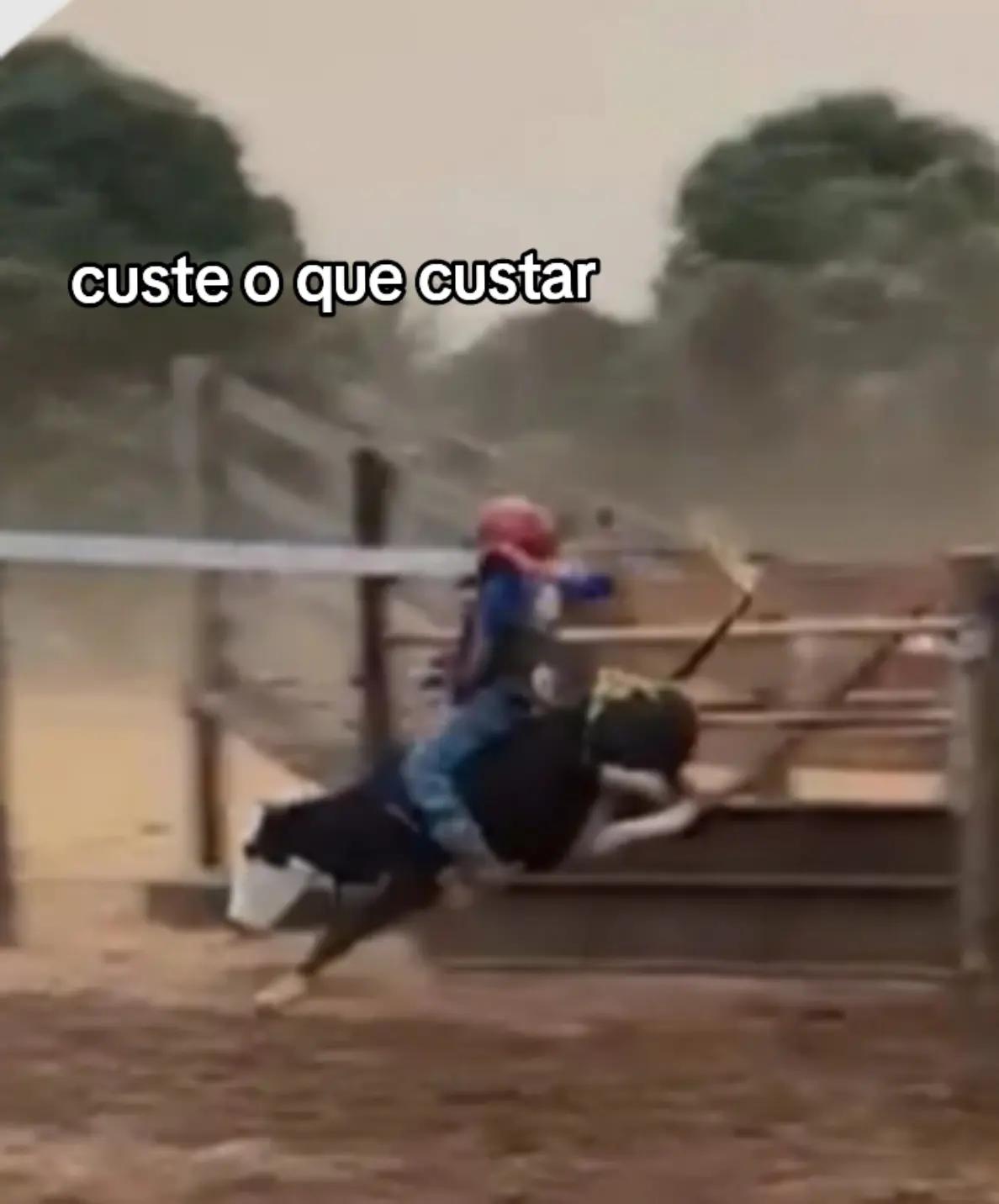 @andré🪶