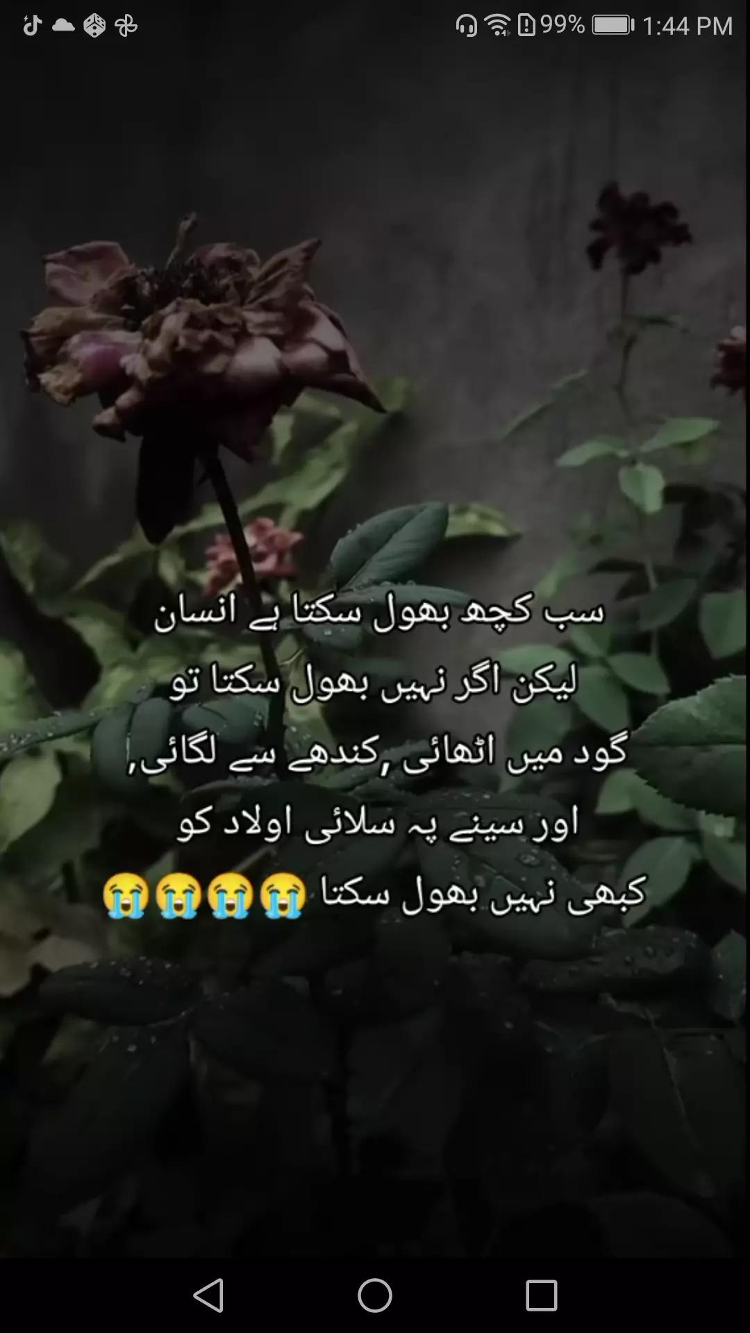 @rananaveed85971