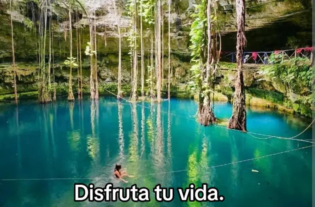 @La profe chida