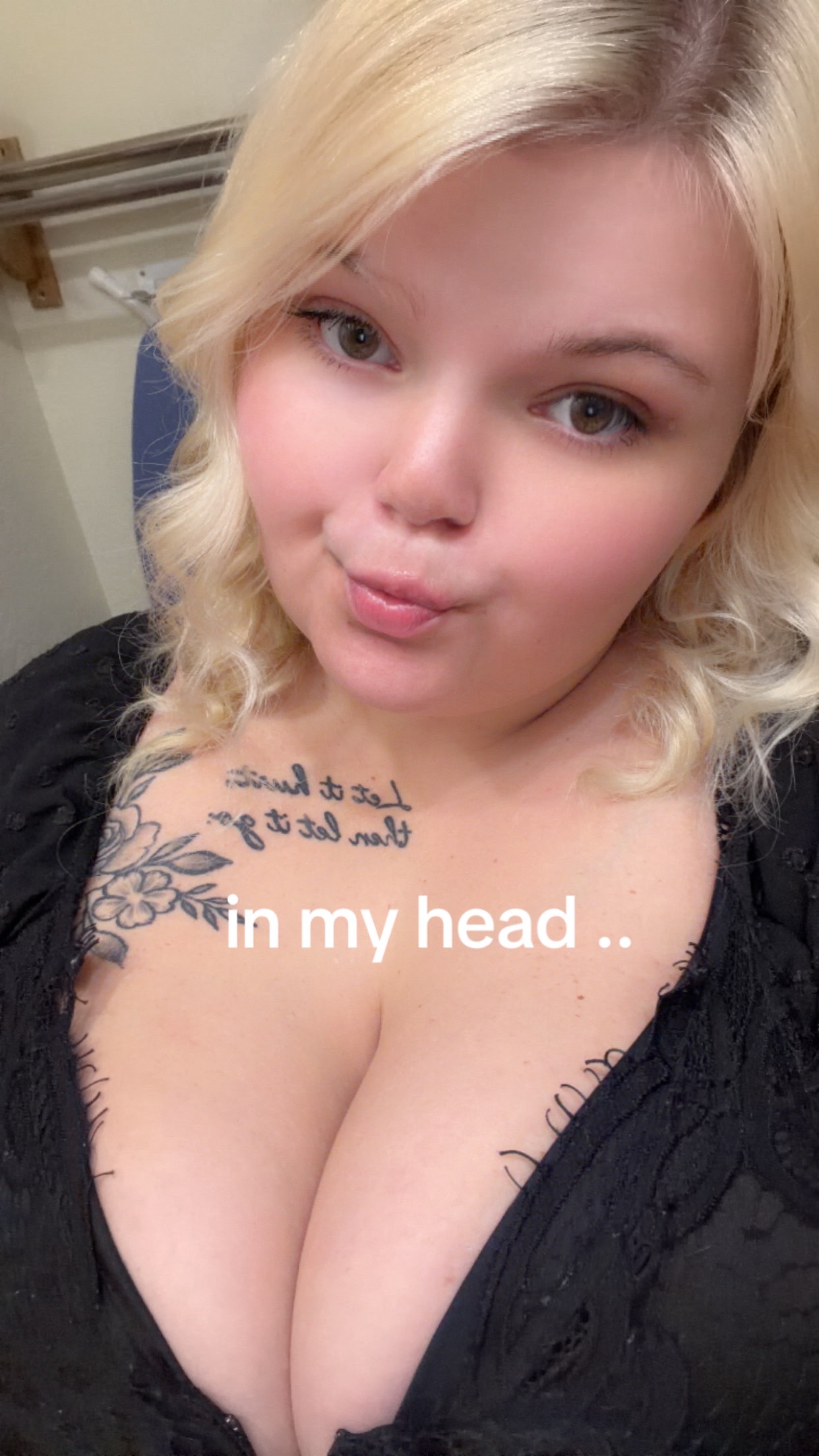 @catinthehat2026