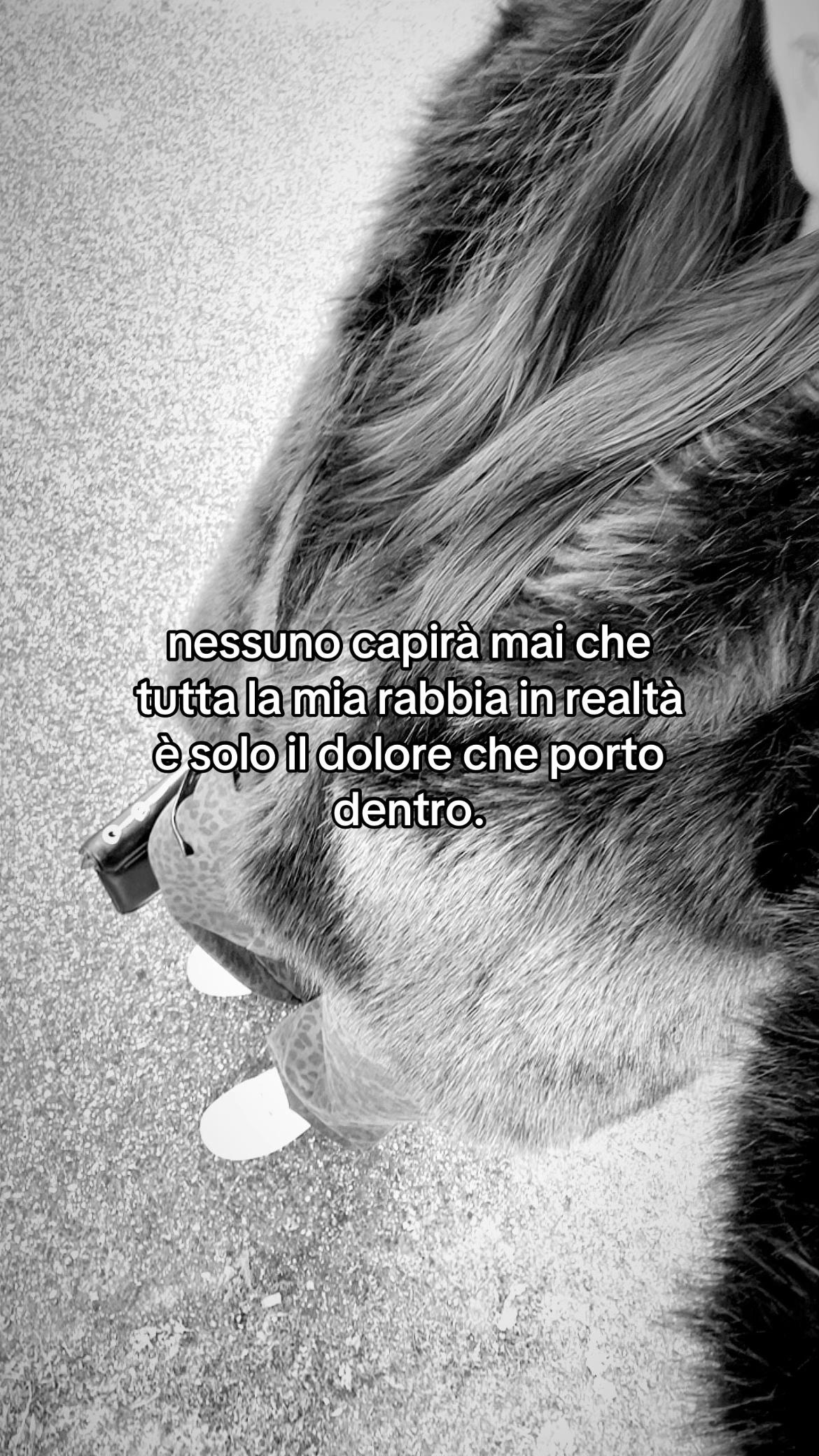 @rachele mazzola