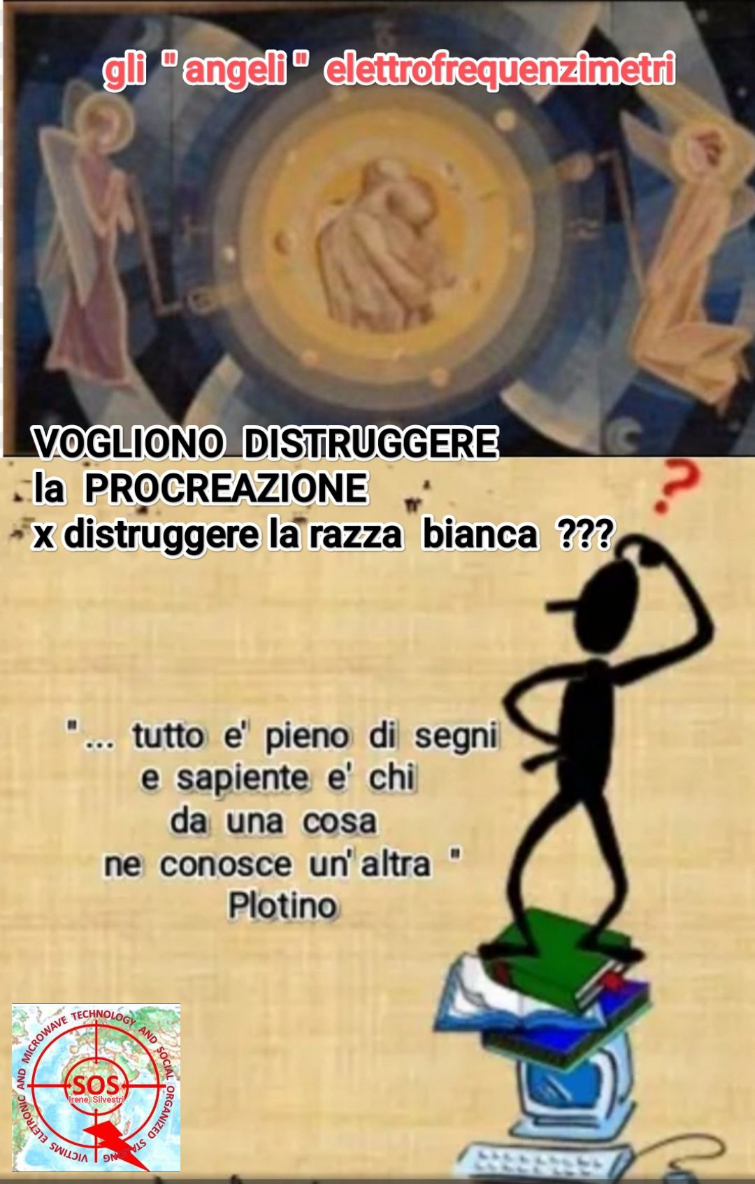 @Irene Silvestri 50