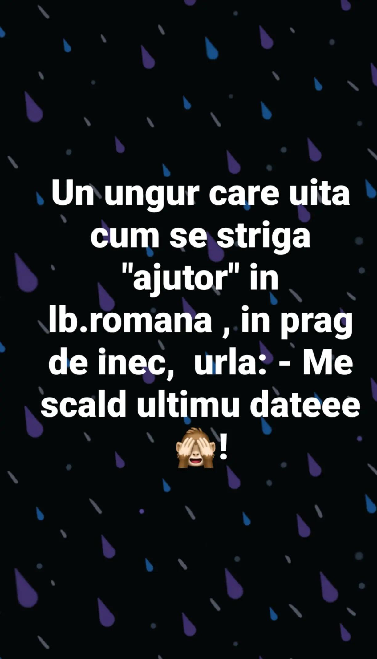@Stefi Ciocan