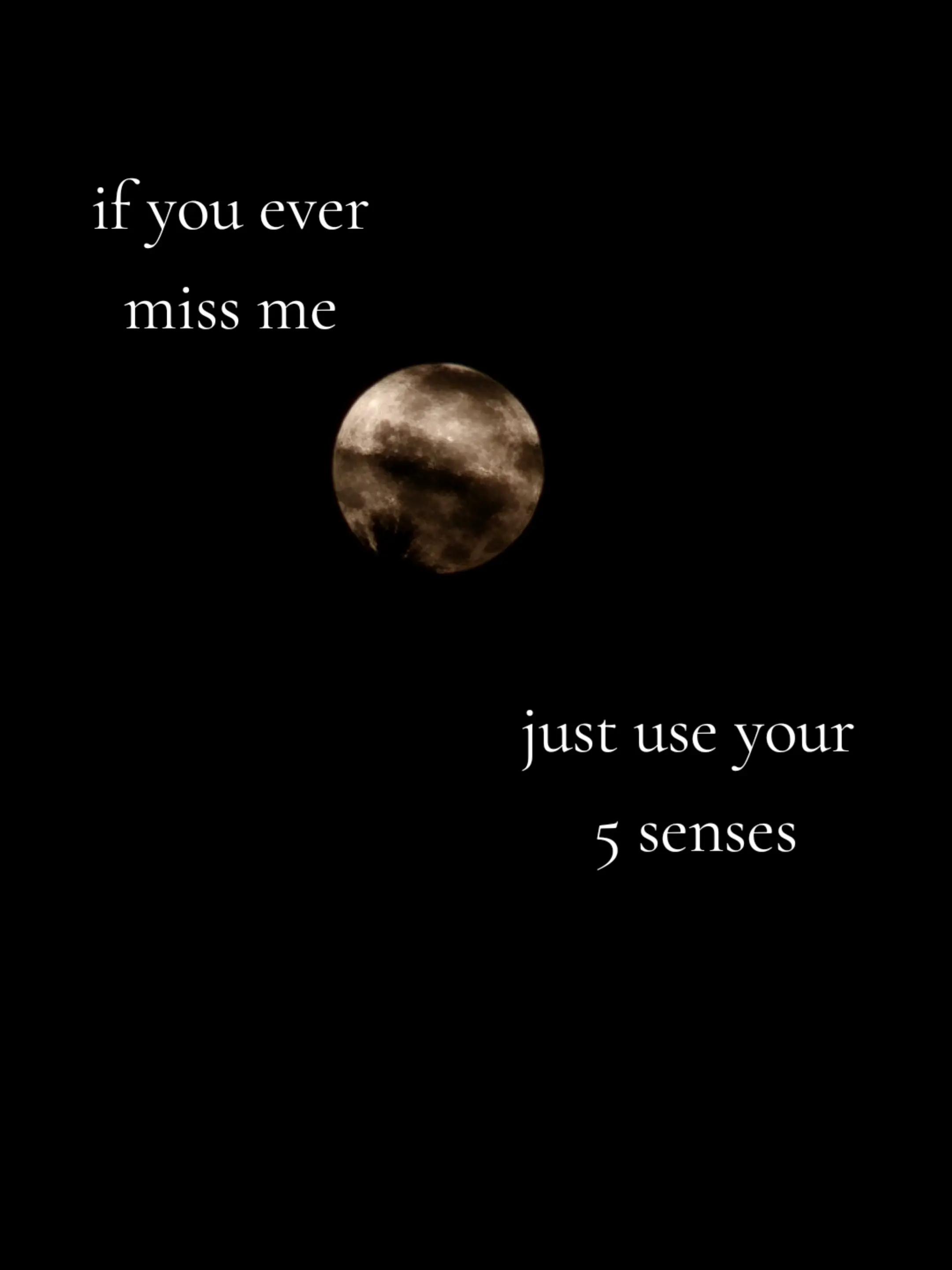 @𝐵𝑒𝑙𝑙𝑠🐾