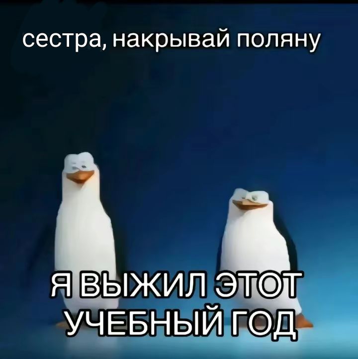 @Leinoon