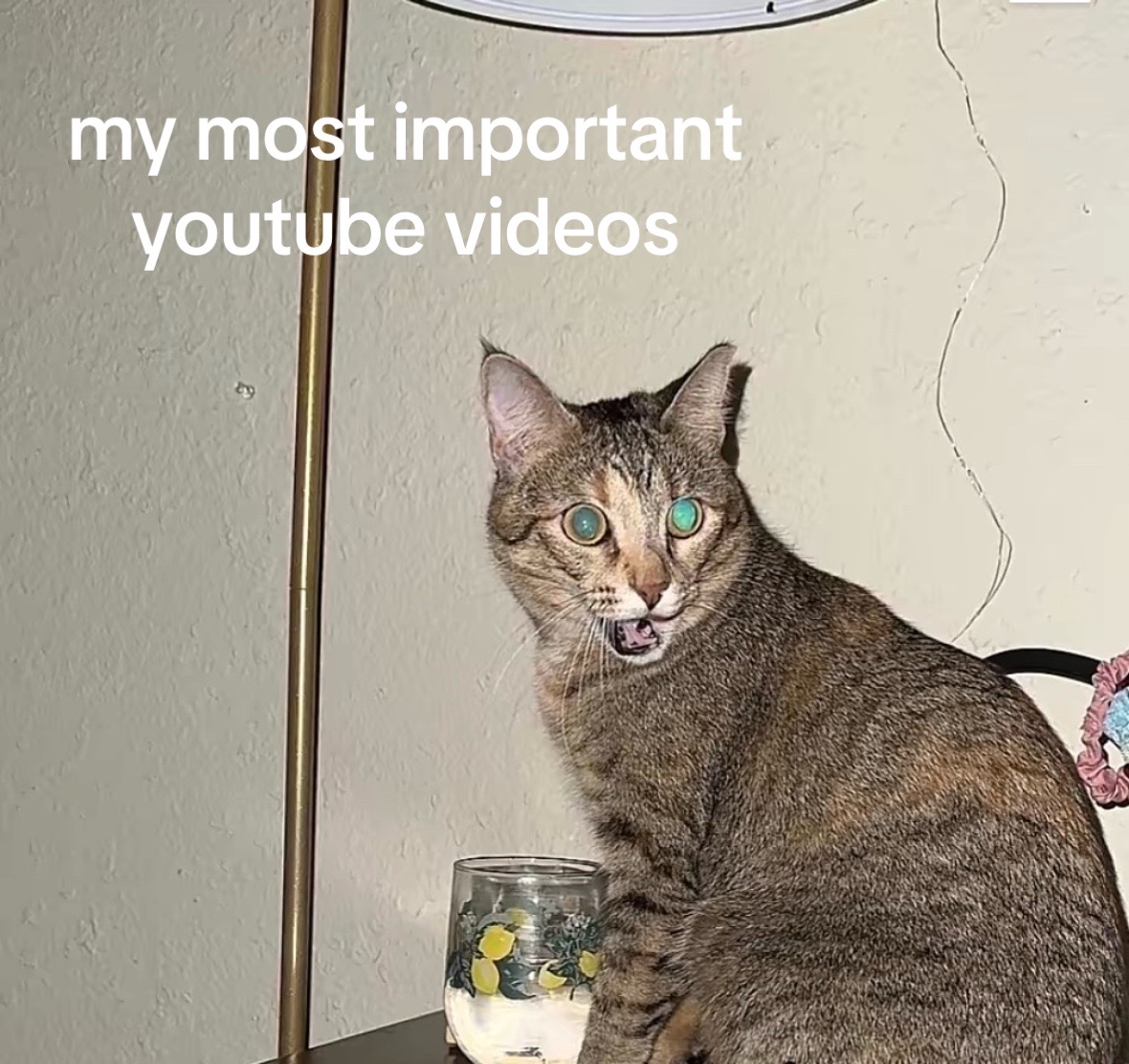 @famous.prophet