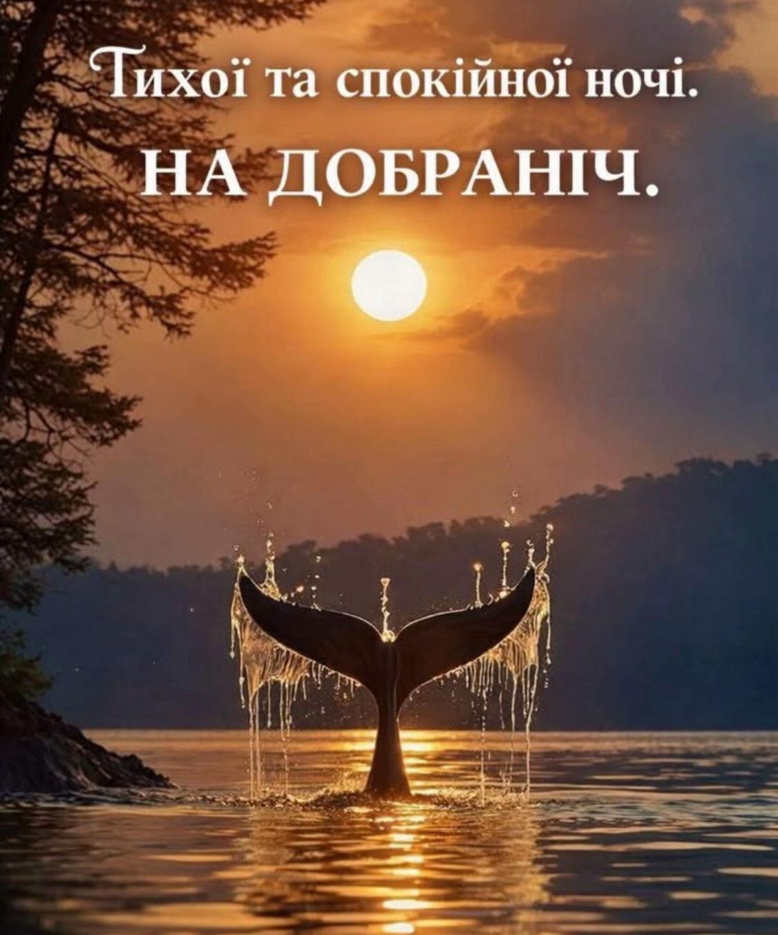 @tiktok_tiktok.com.ua