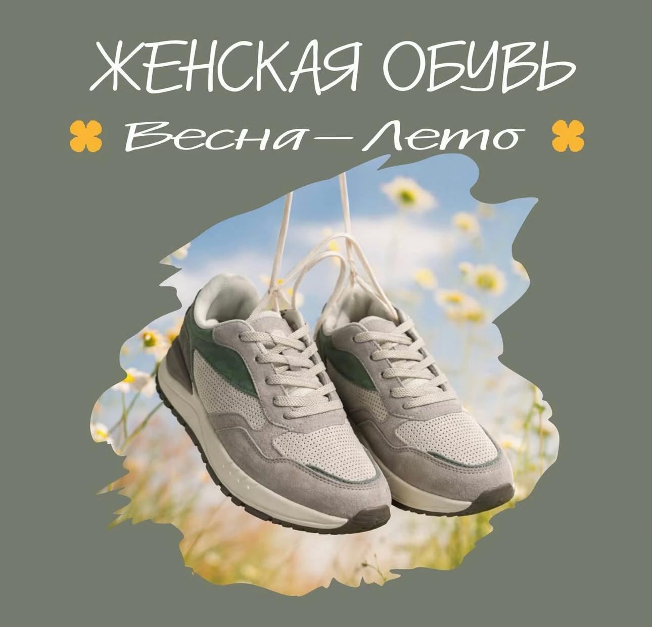 @decollo.kz