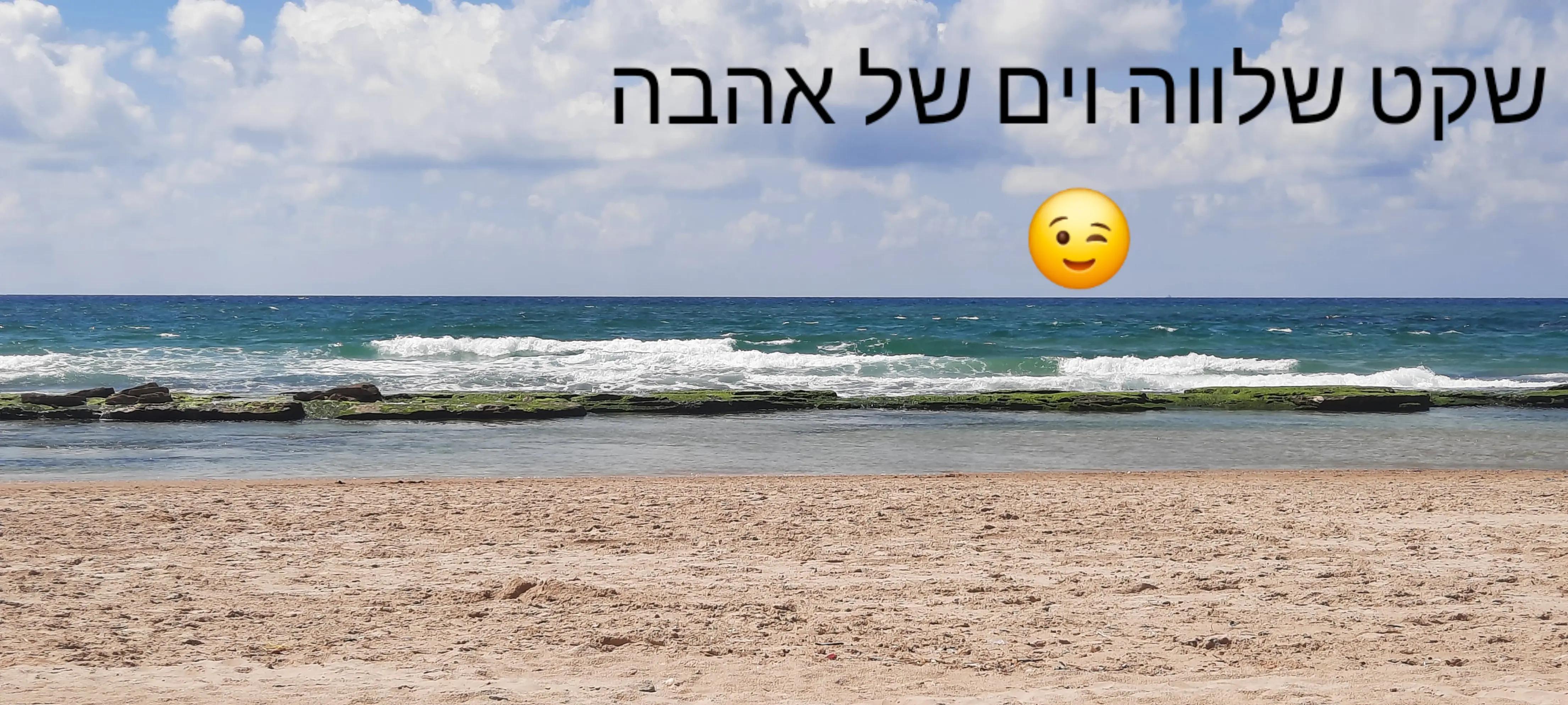 @שושי גאלסולקר