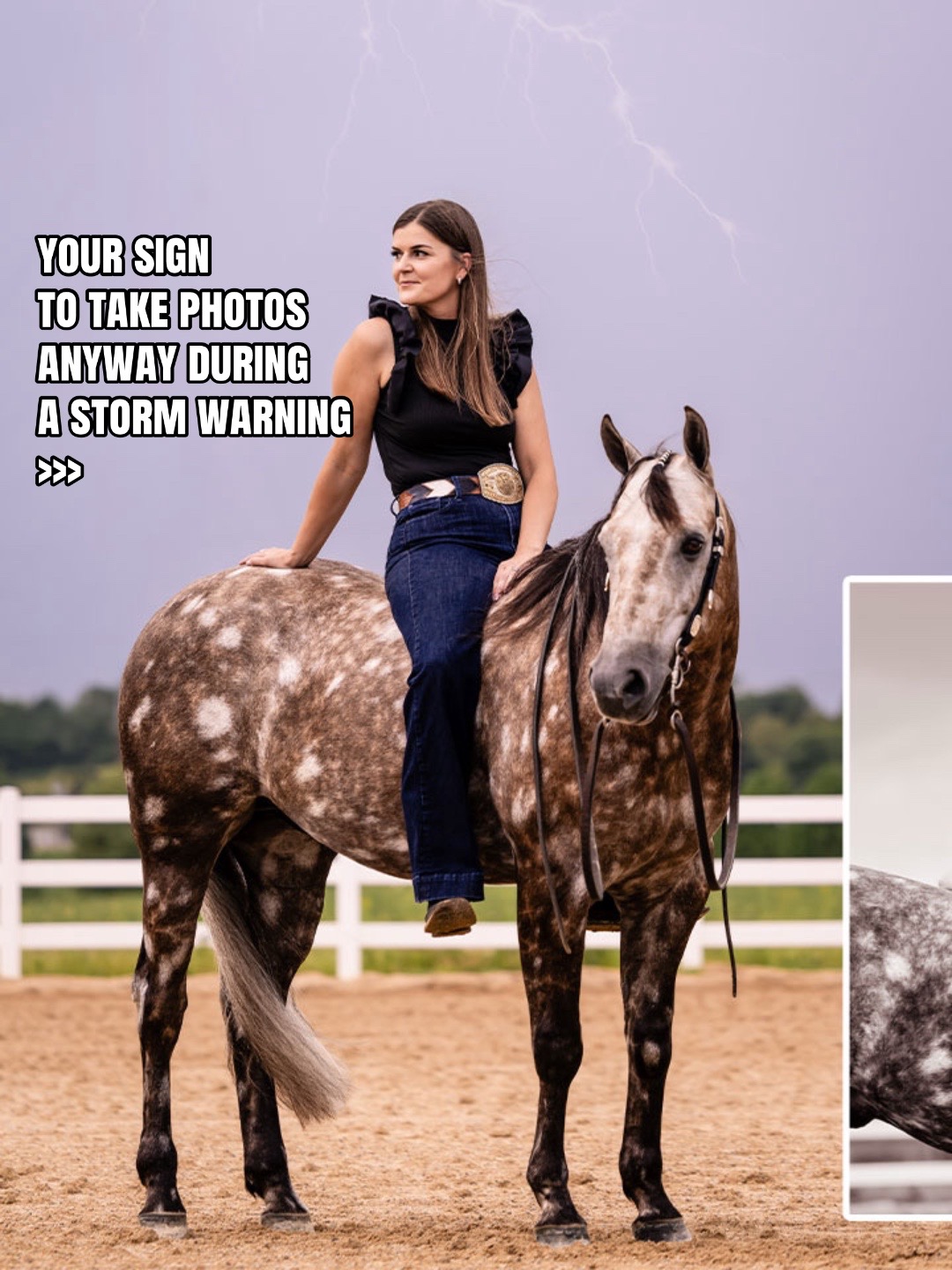 @Tisha 📸🦄 Equestrian Photog