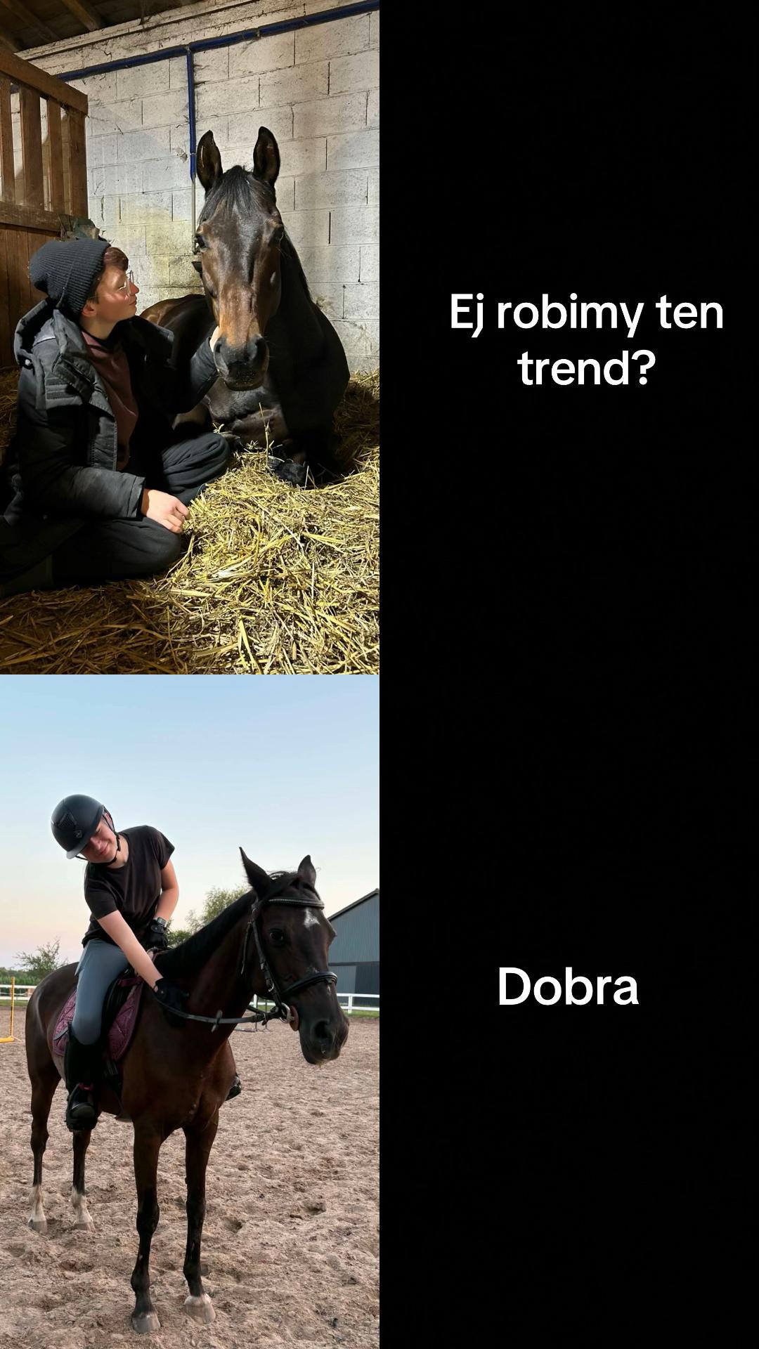 @zofka_eq
