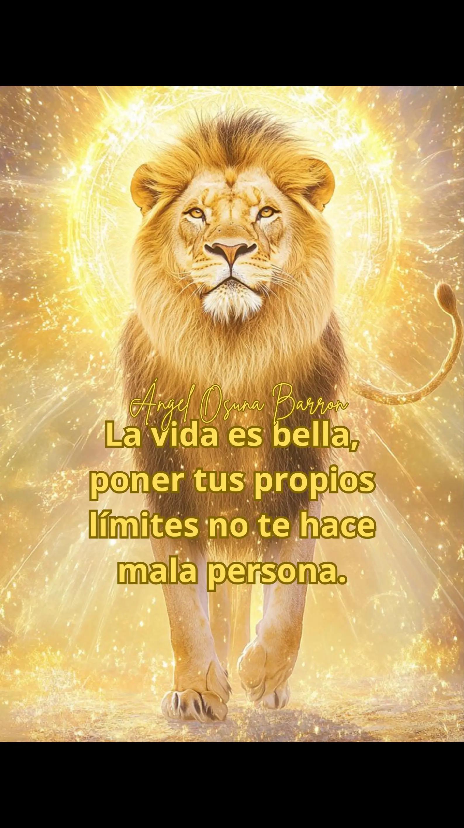 @Angel Osuna B.