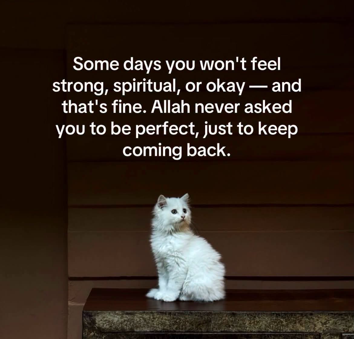 @salma ali