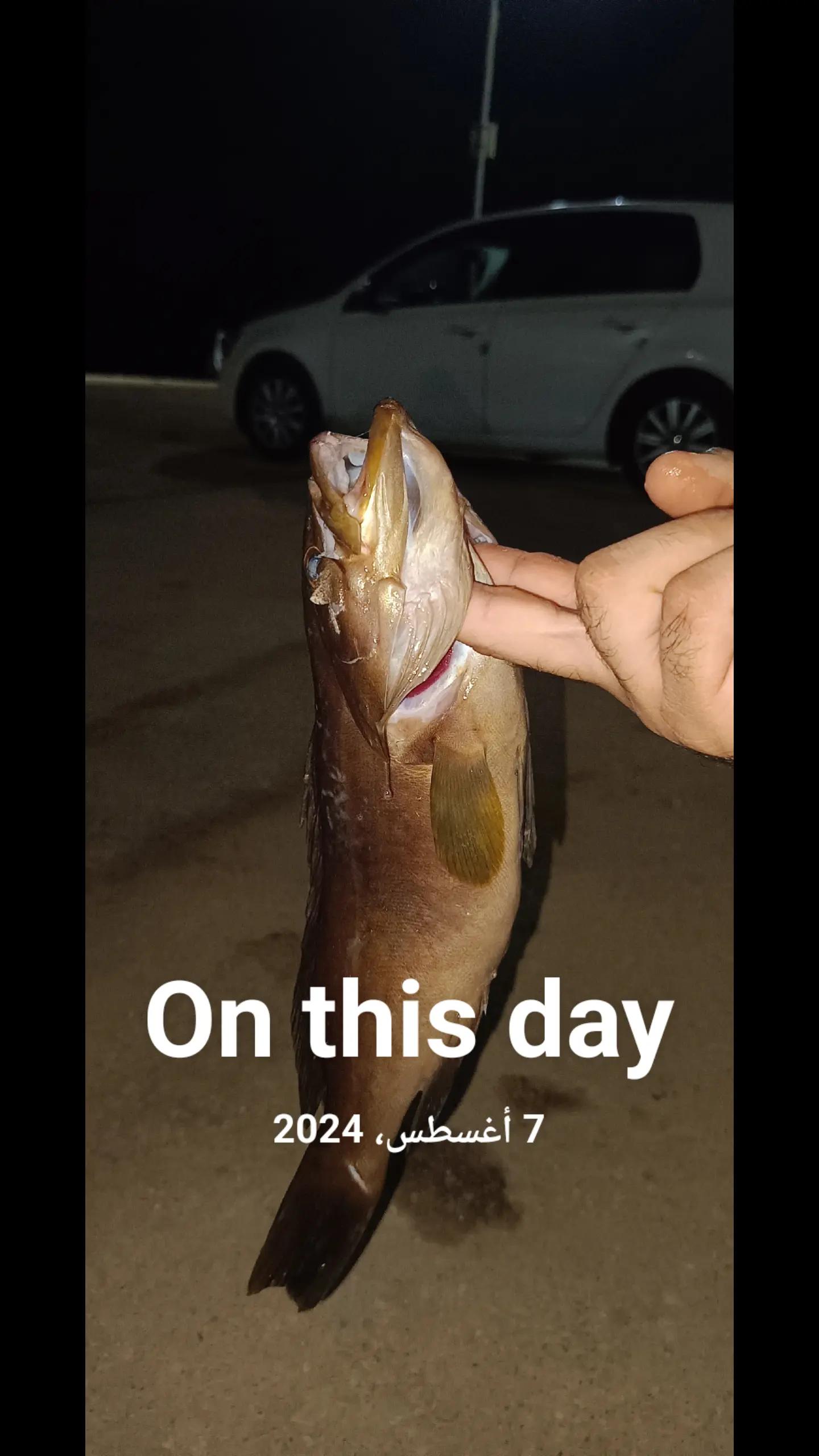 @ZRPablo🚣FishMagnet🐟🐟