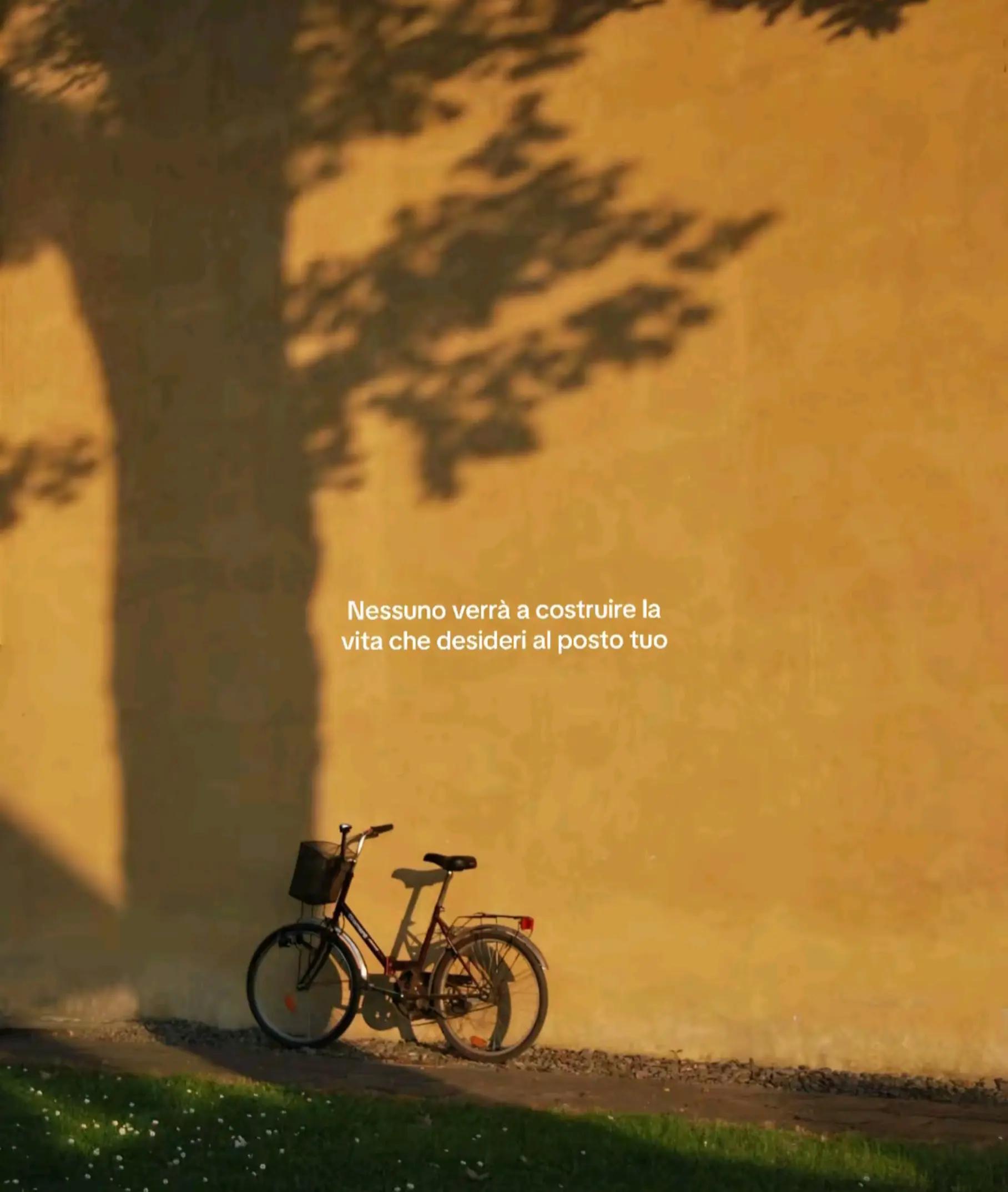 @Ammor & Verità