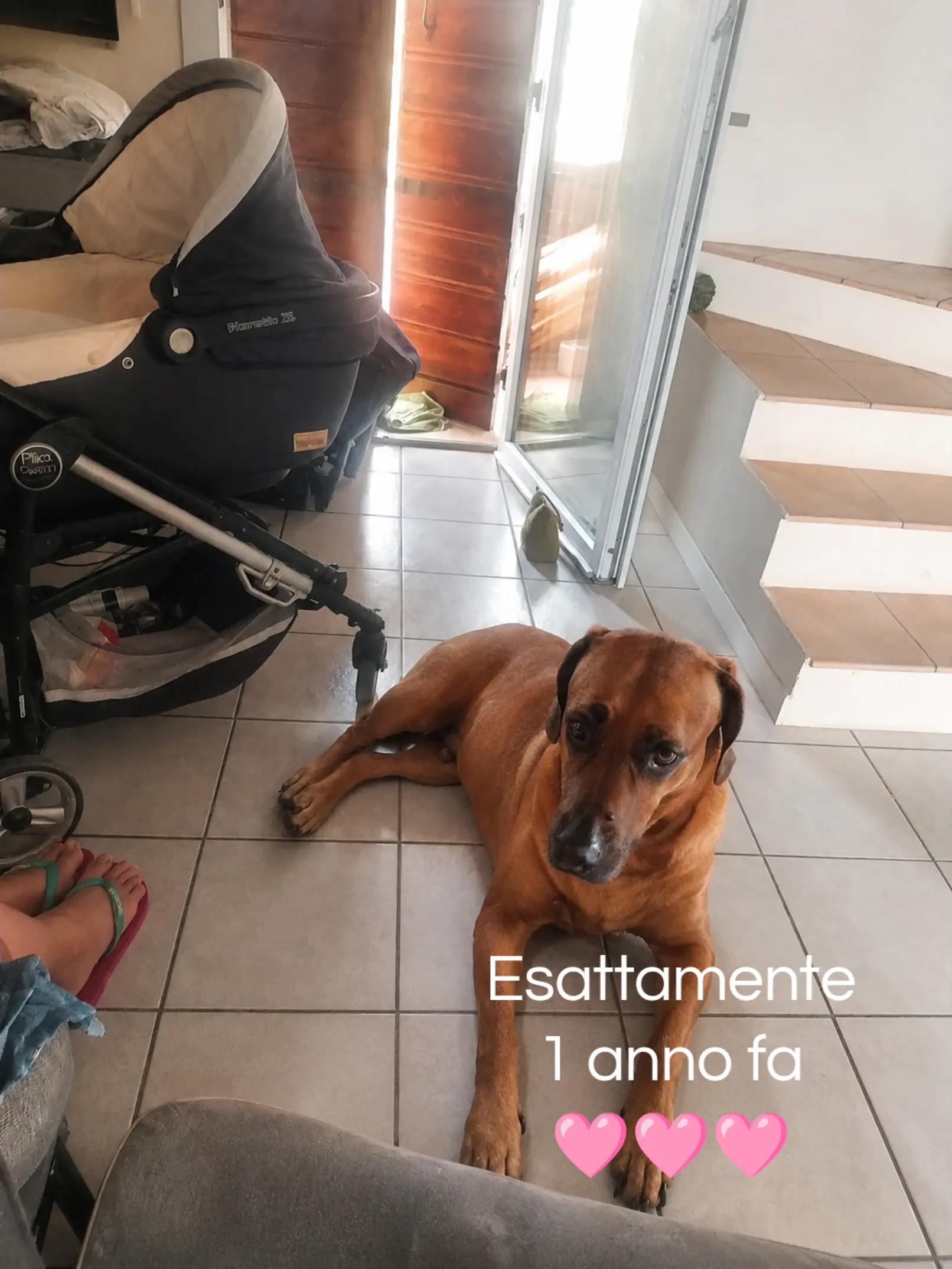 @stefania_bortolozzo