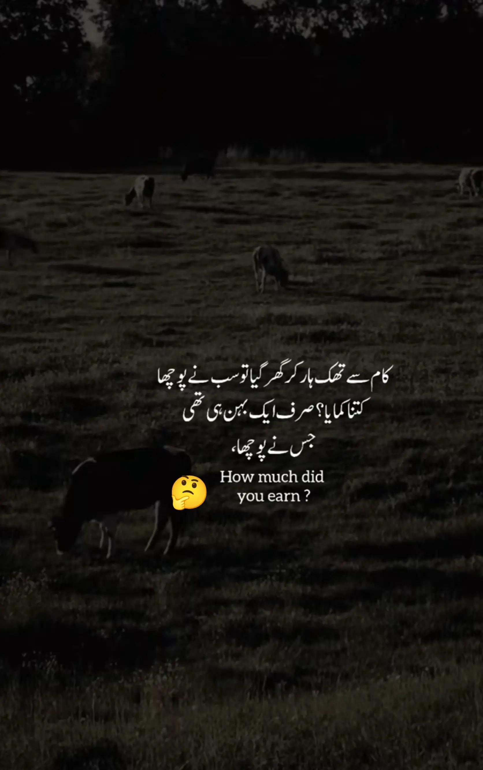 @✒️ قلمِ عشق ✒️