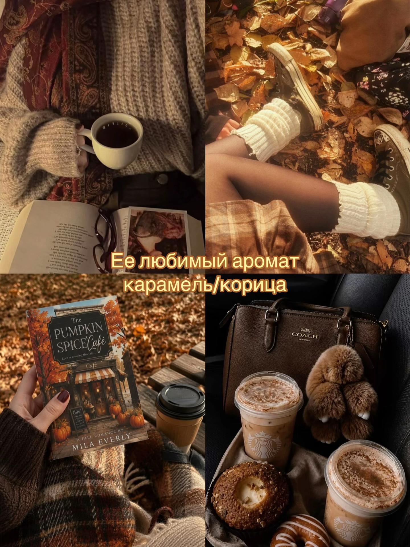 @₊⊹𝐾𝑂𝑅𝑁𝐸𝐿𝐼𝐴 𝑚𝑖𝑢 𐙚 ̊