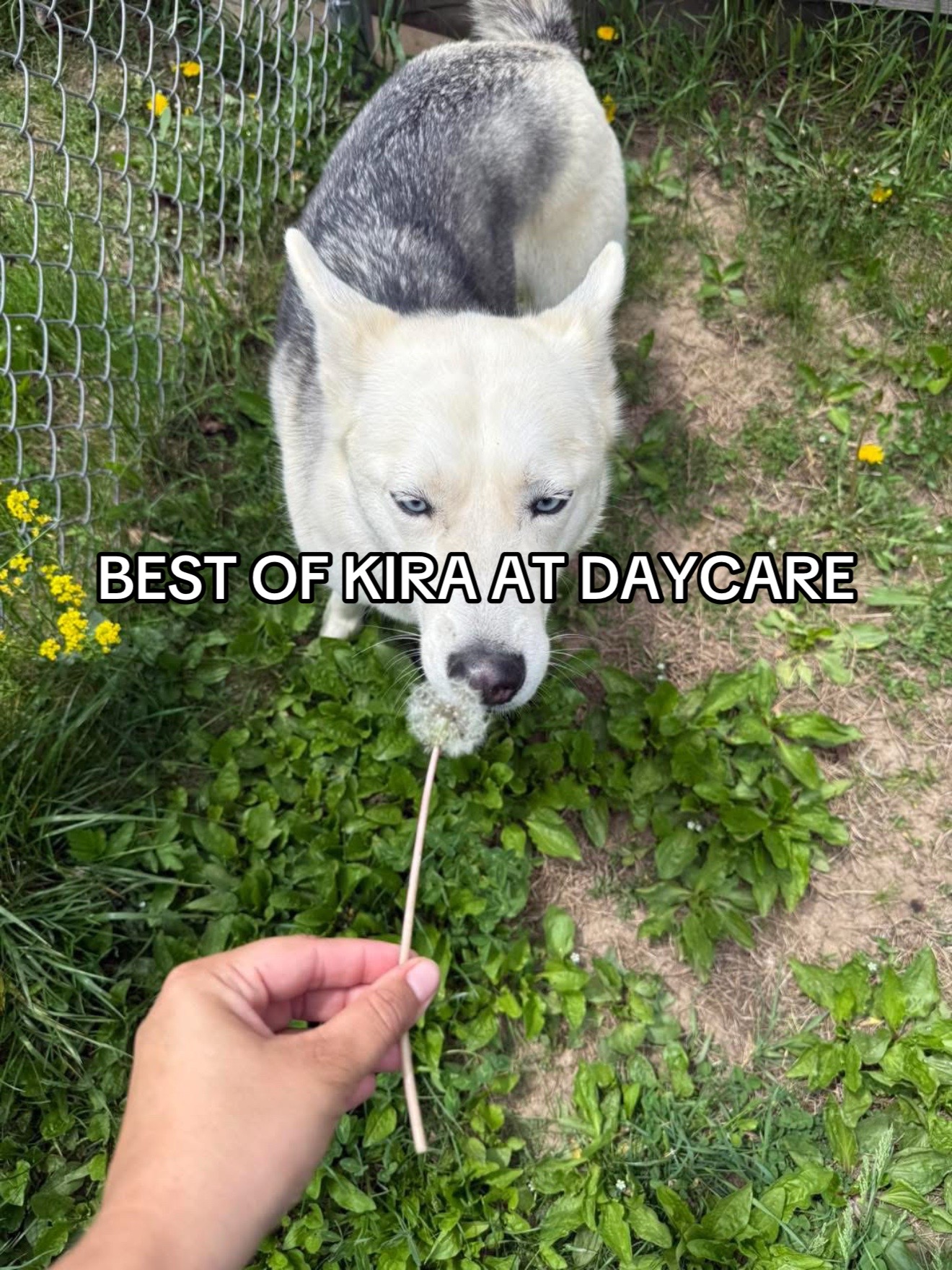 @Jeff