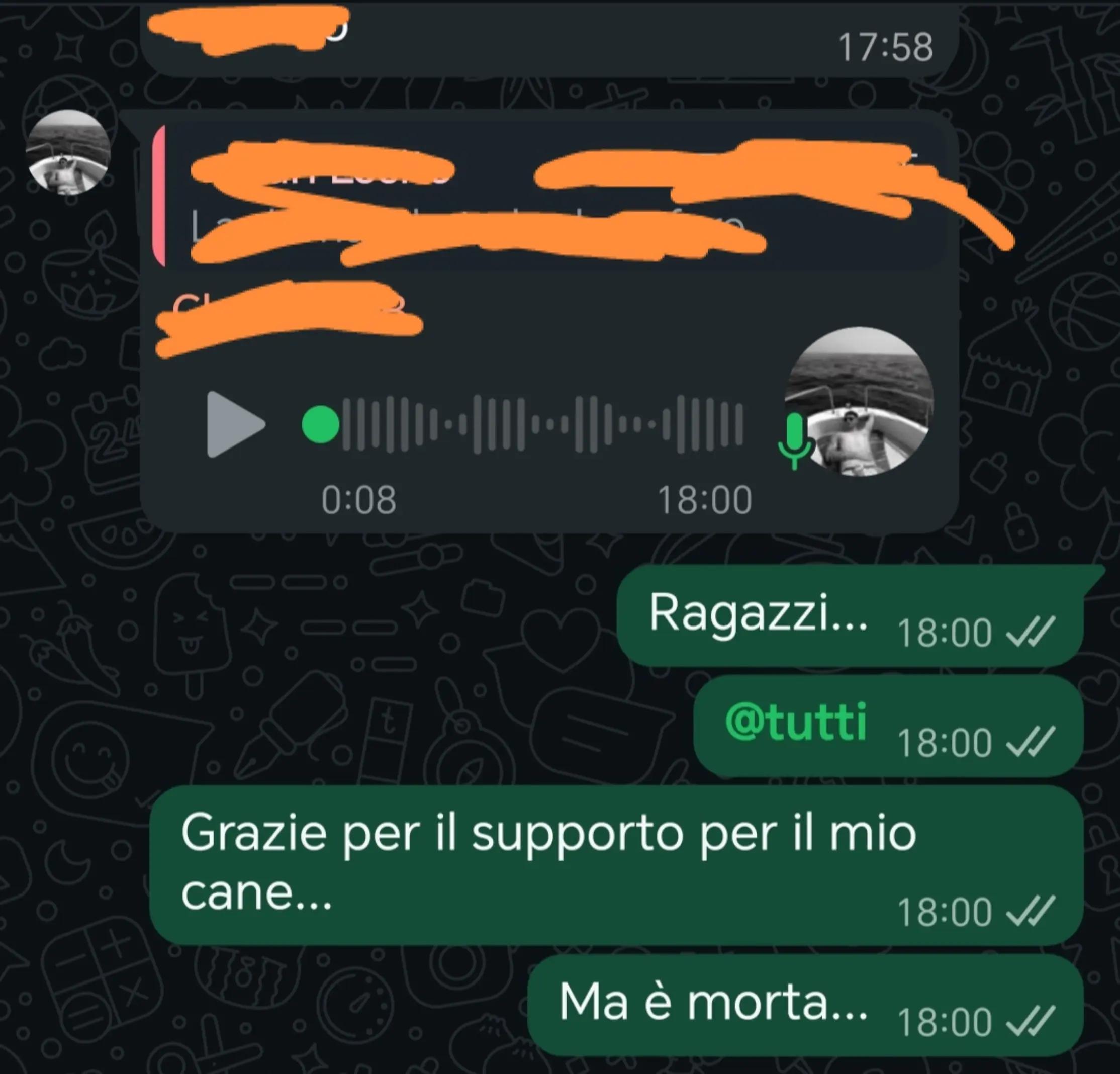 @Mari0V0l1Ani_