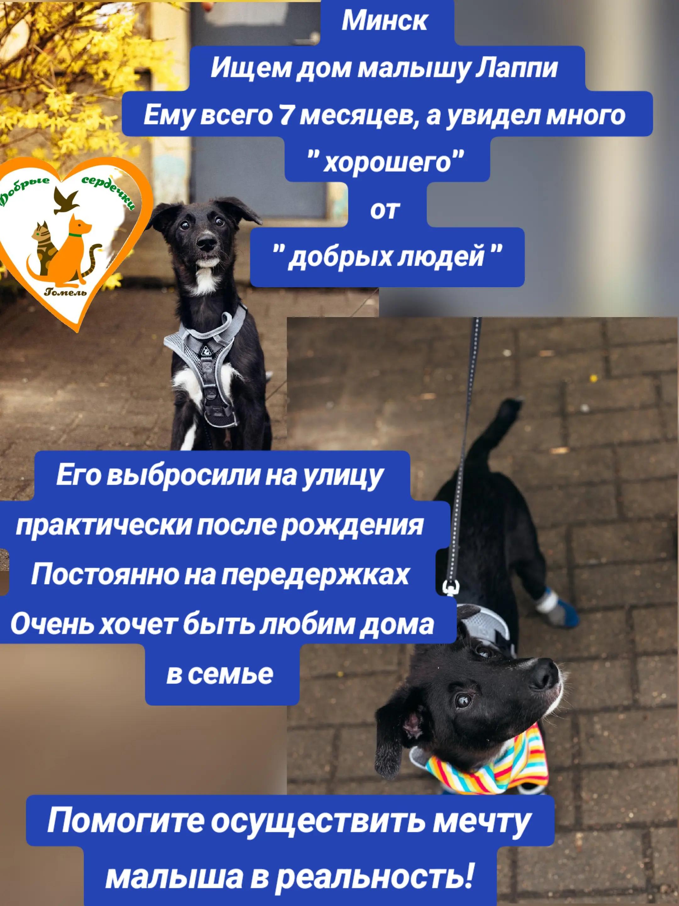 @Марина