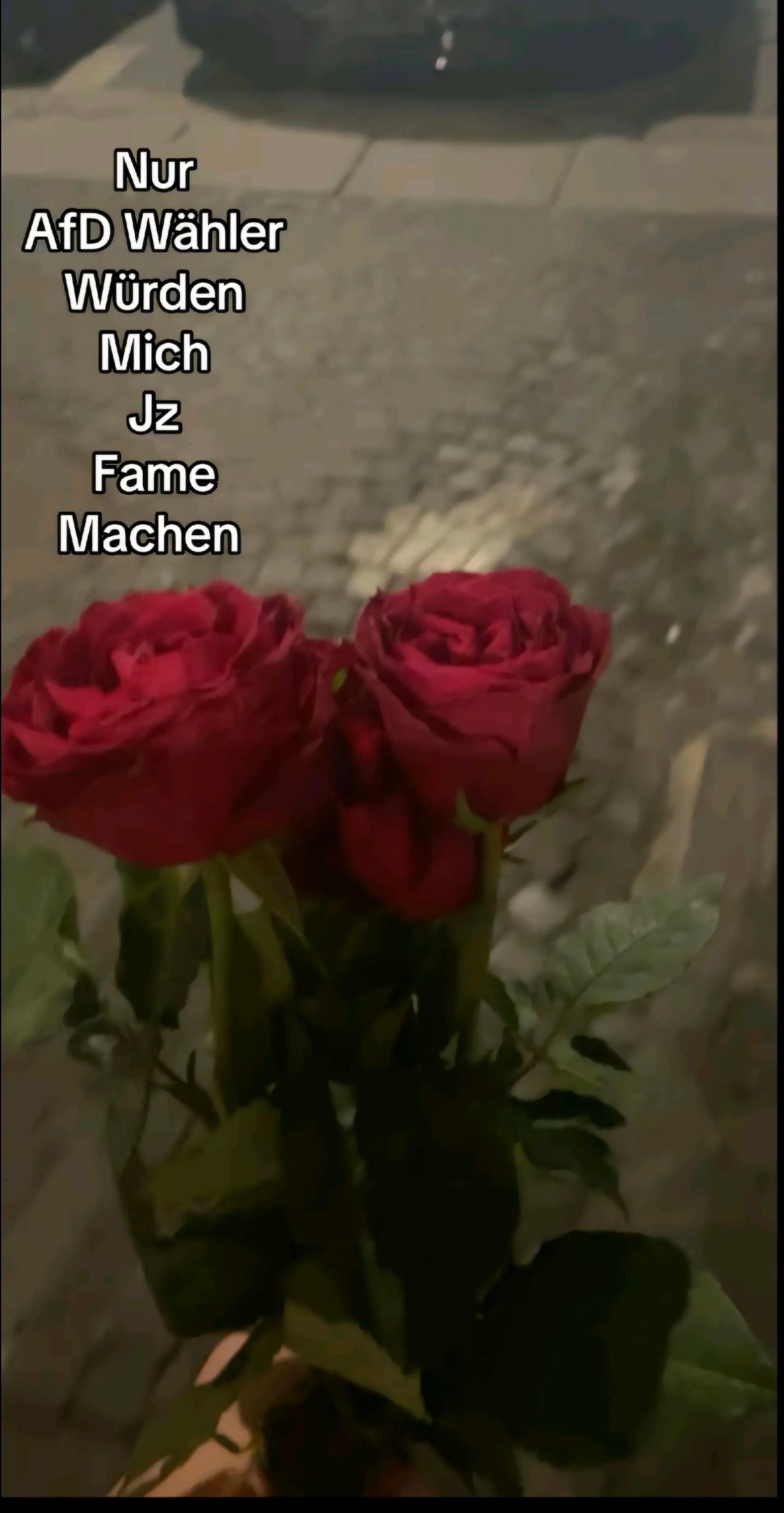 @🇩🇪Philipp1161🇩🇪
