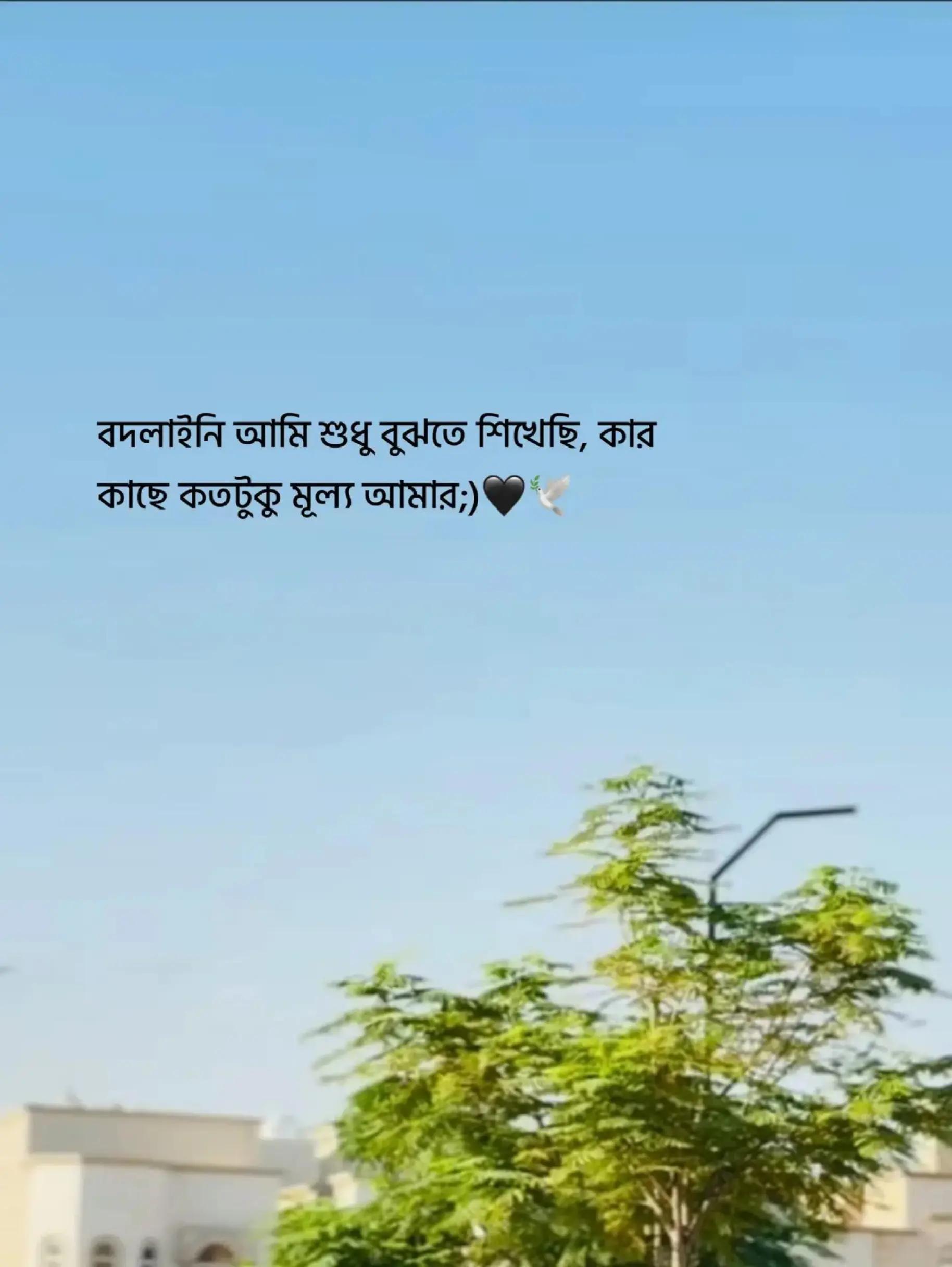 @Mohammad Shahin
