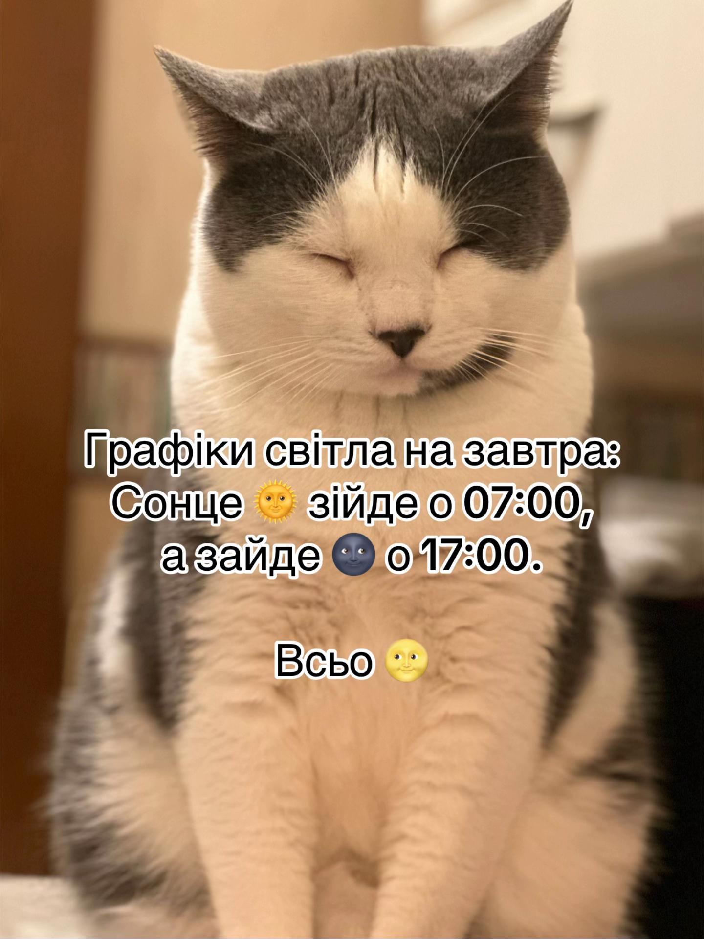 @Brytto 🐈⬛