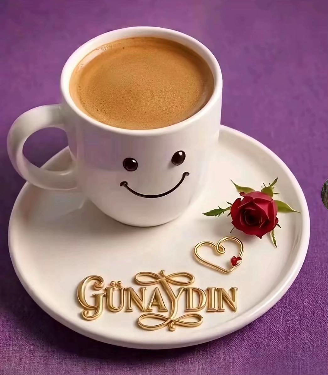 @gul08