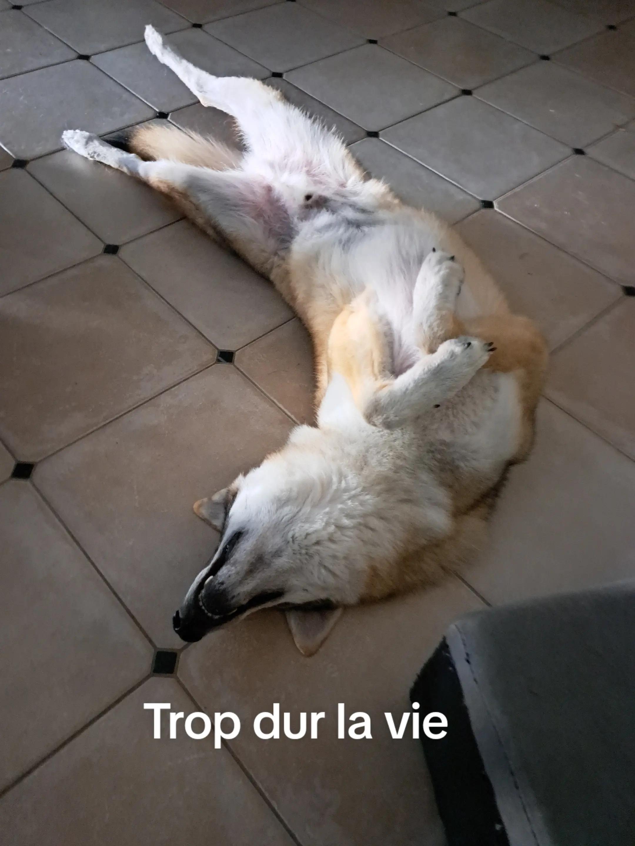 @Vecny