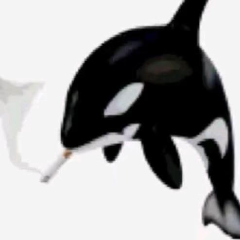 @🦇Tlagy🦇