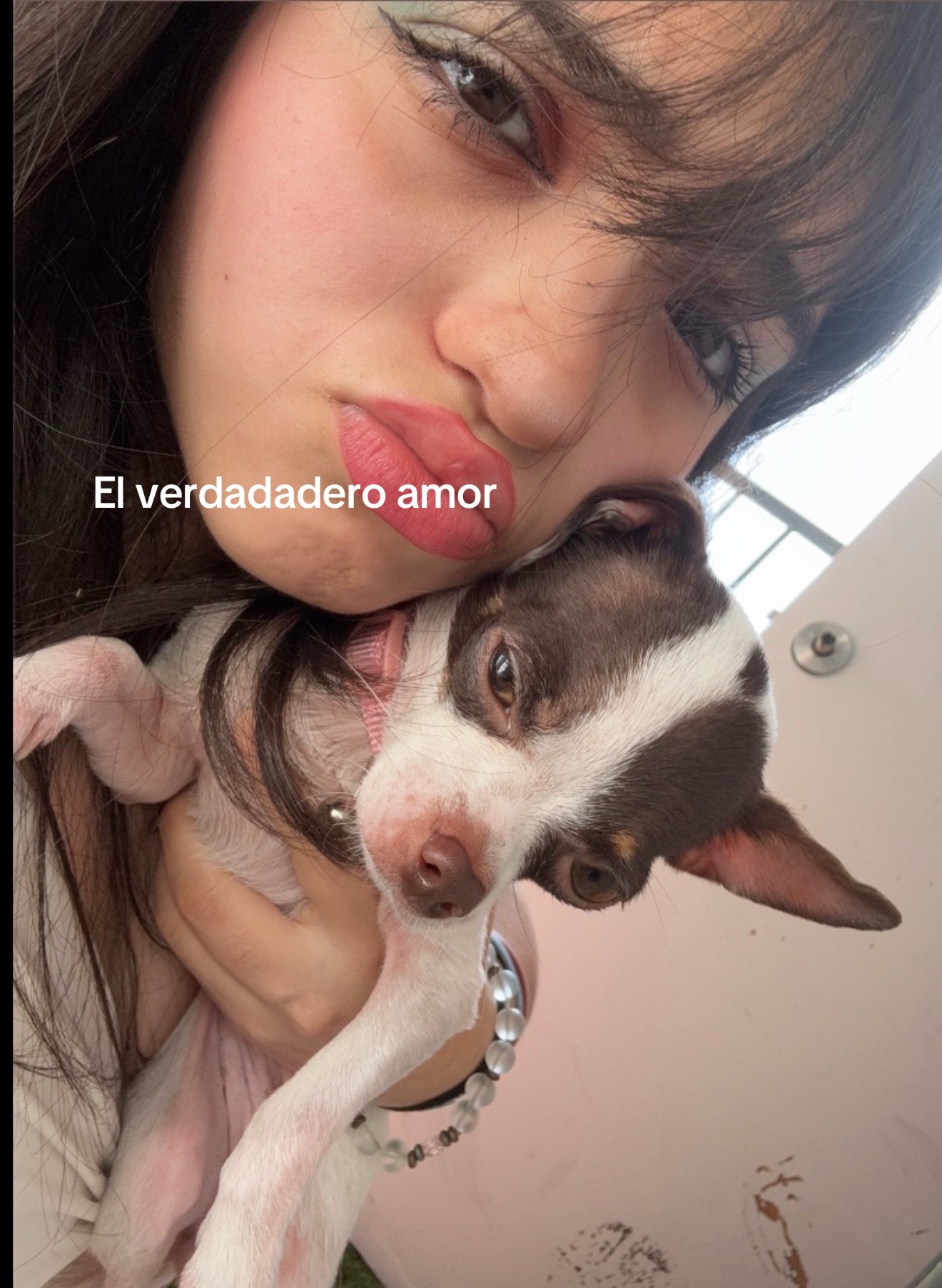 @dania_vsr