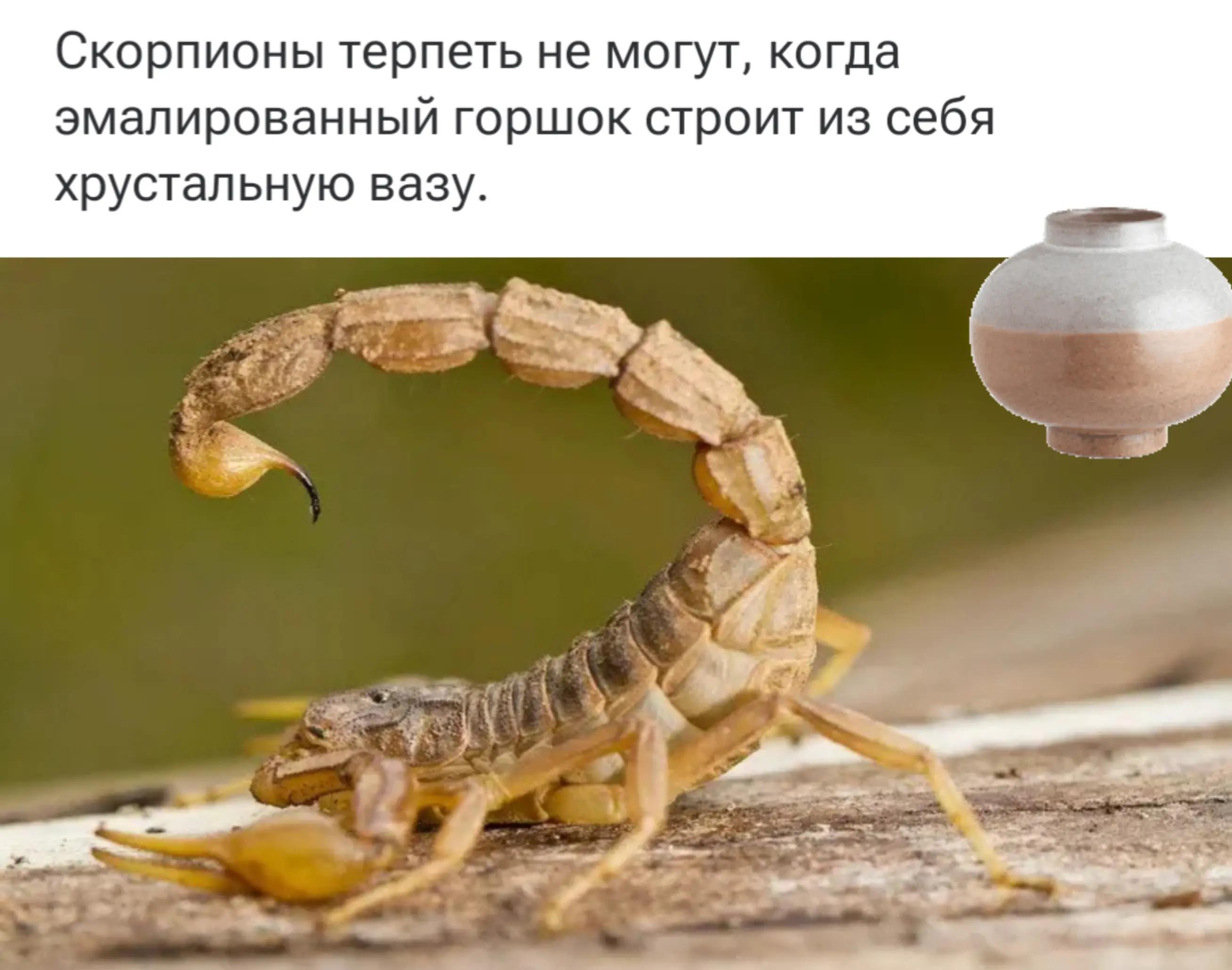 @SamirƏhmədli