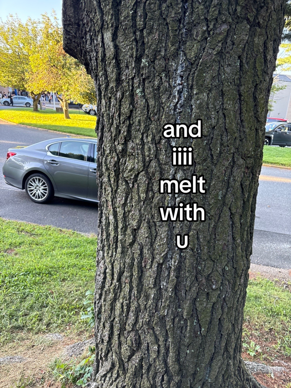 @greg