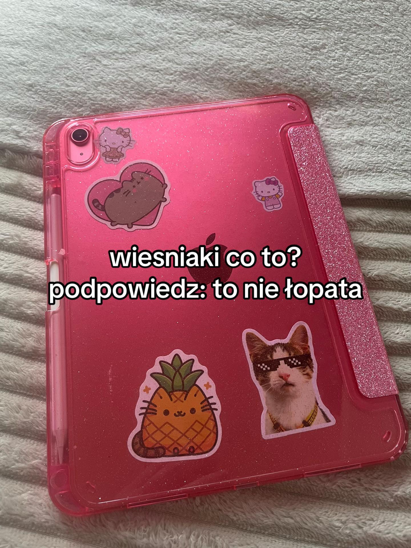 @kotfaja