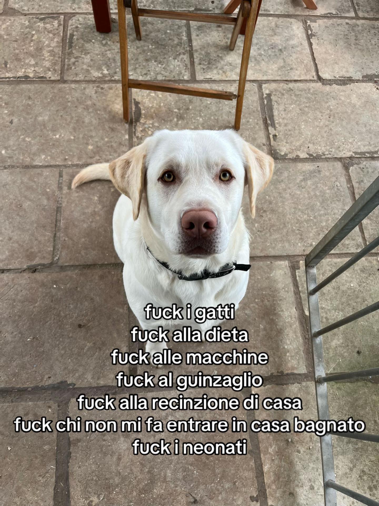 @giú
