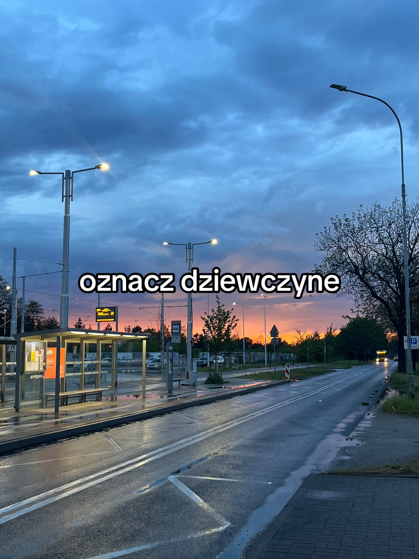 @ig dawid_zarzeczny