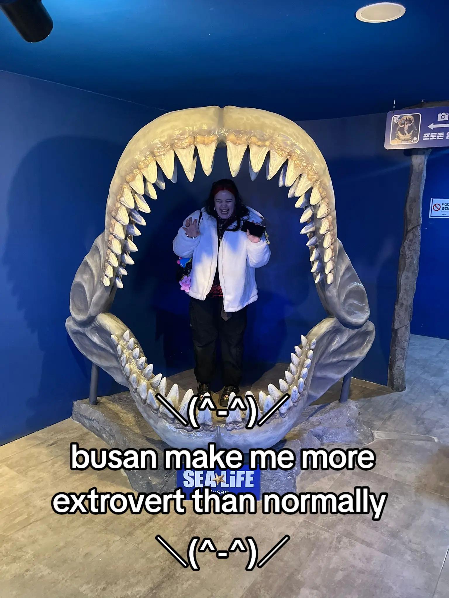 @Yena in Korea