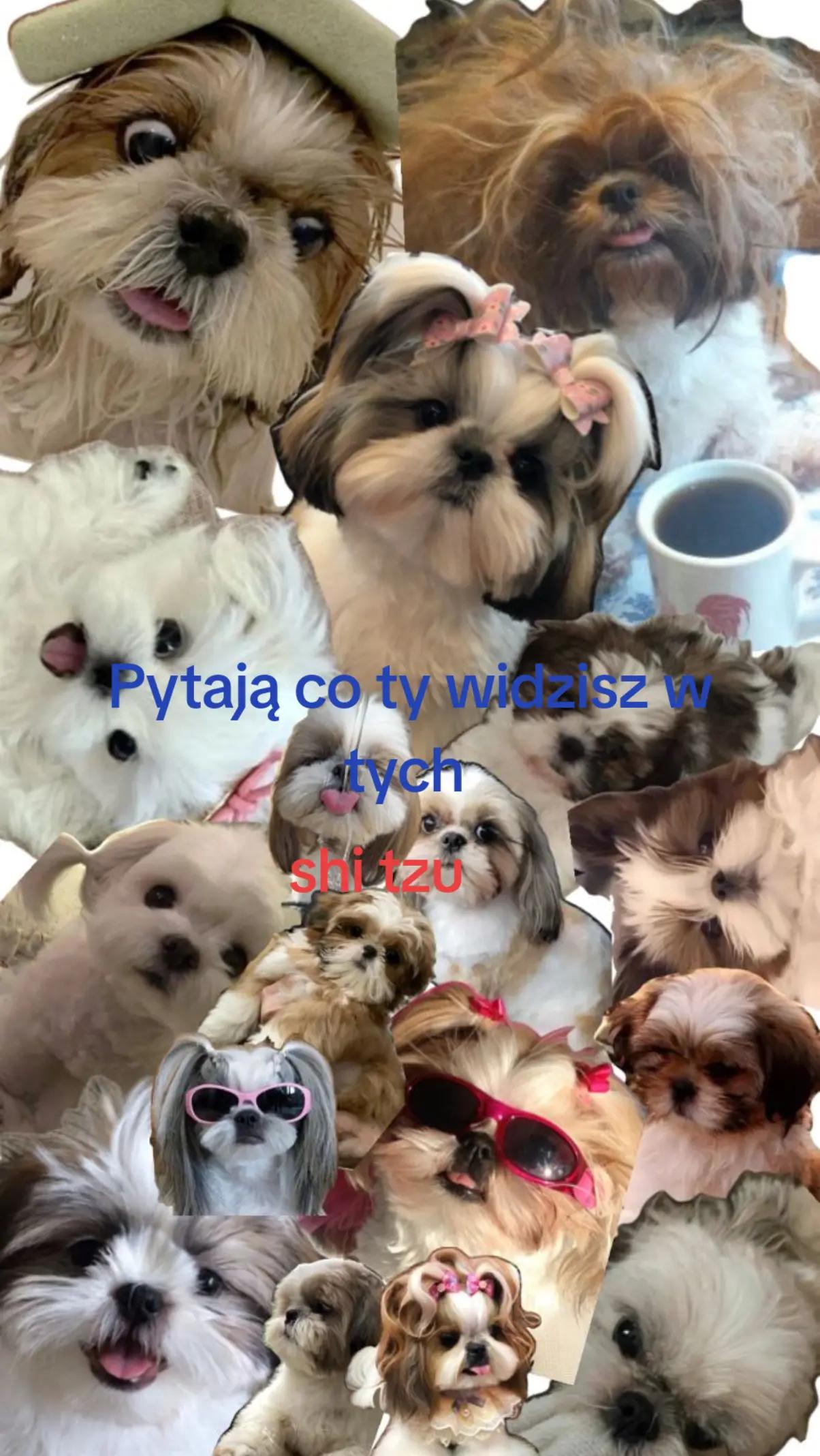 @tosiek320ok