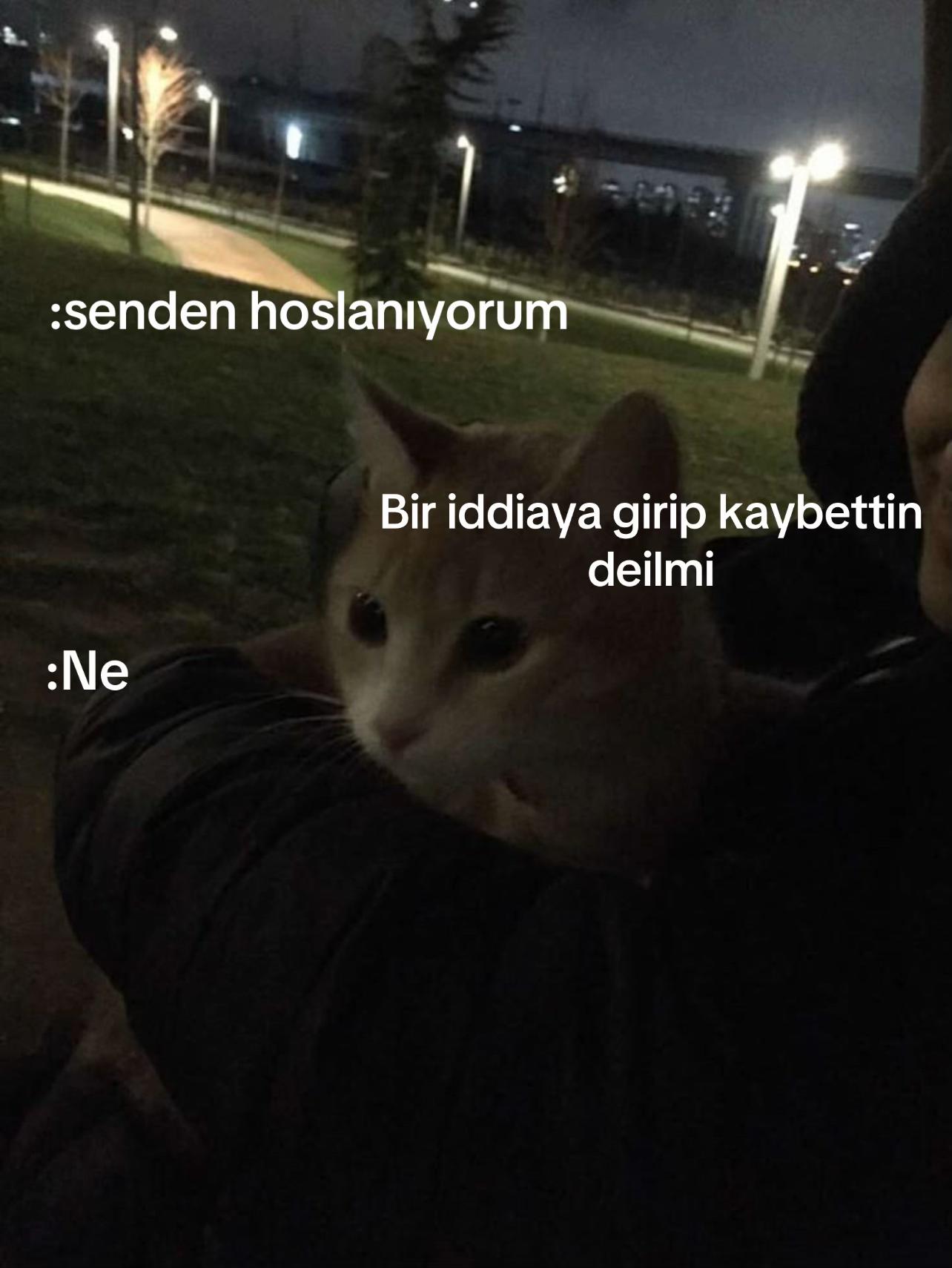 @Maxxie