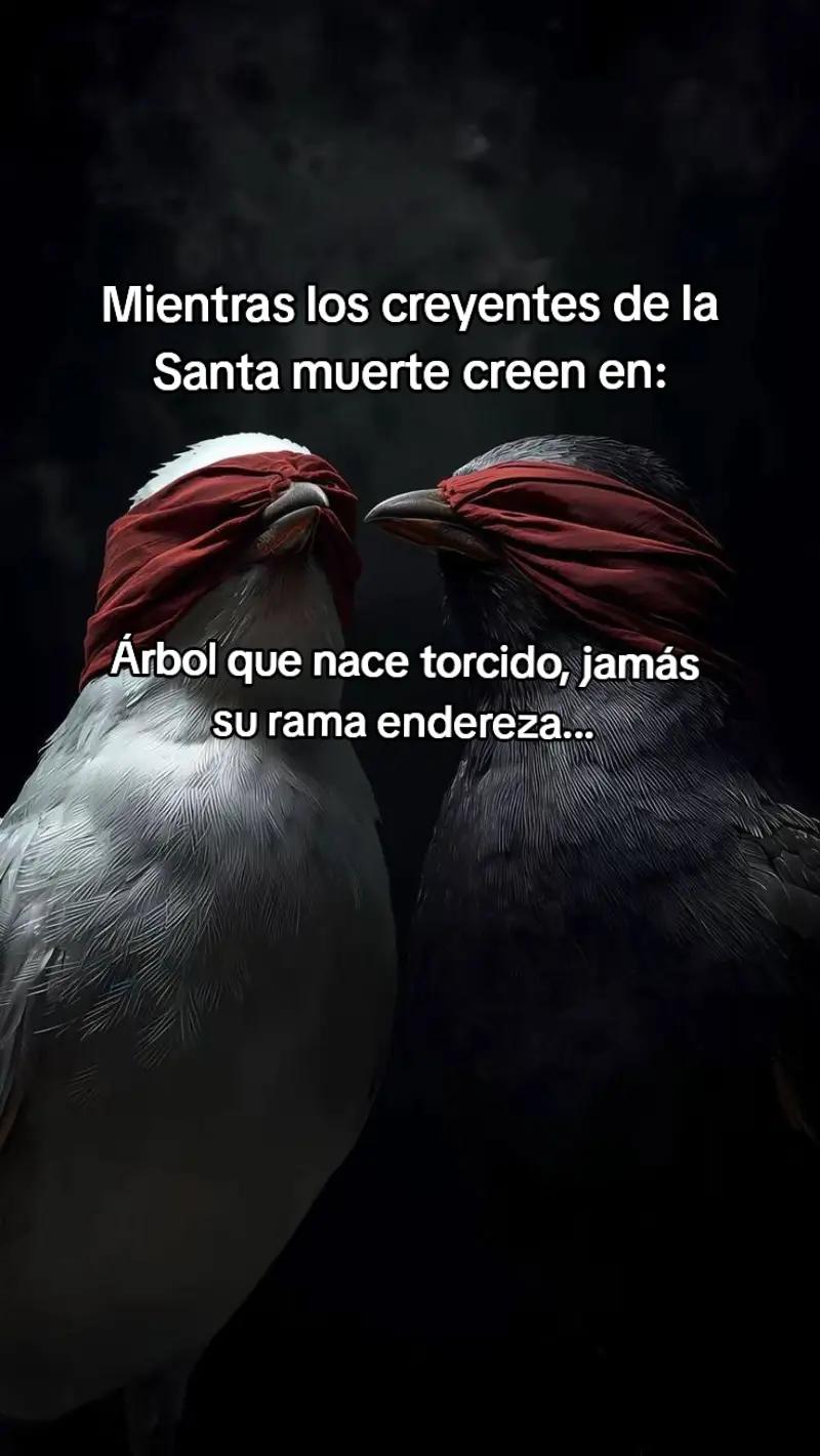 @Monoban