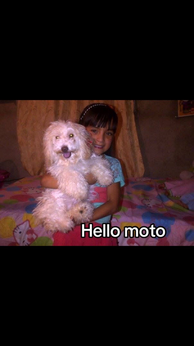 @Mafer!